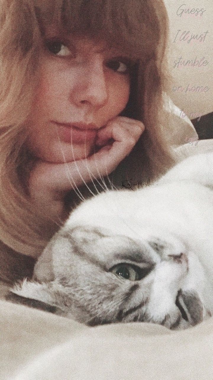 Taylor Swifts Cats Wallpapers Wallpaper Cave 