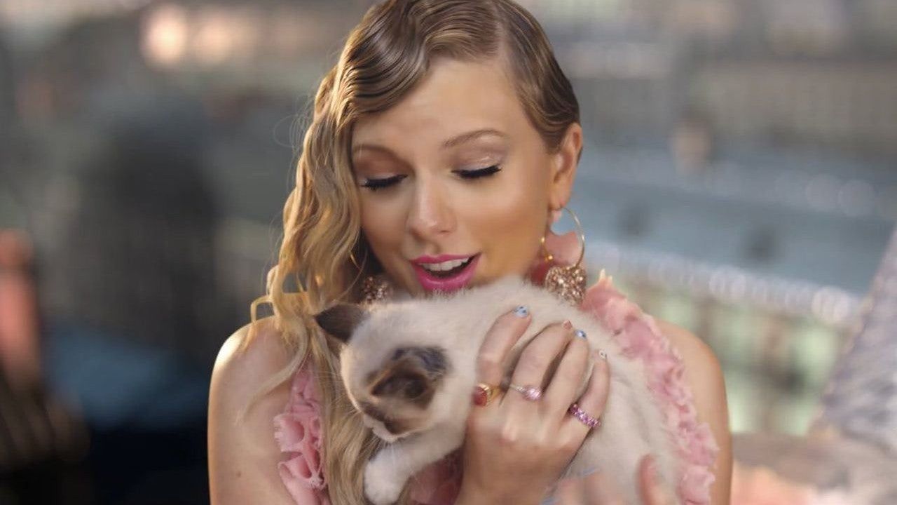 Taylor Swift Has a Cute New Cat - and He's Already a Music Video Star!