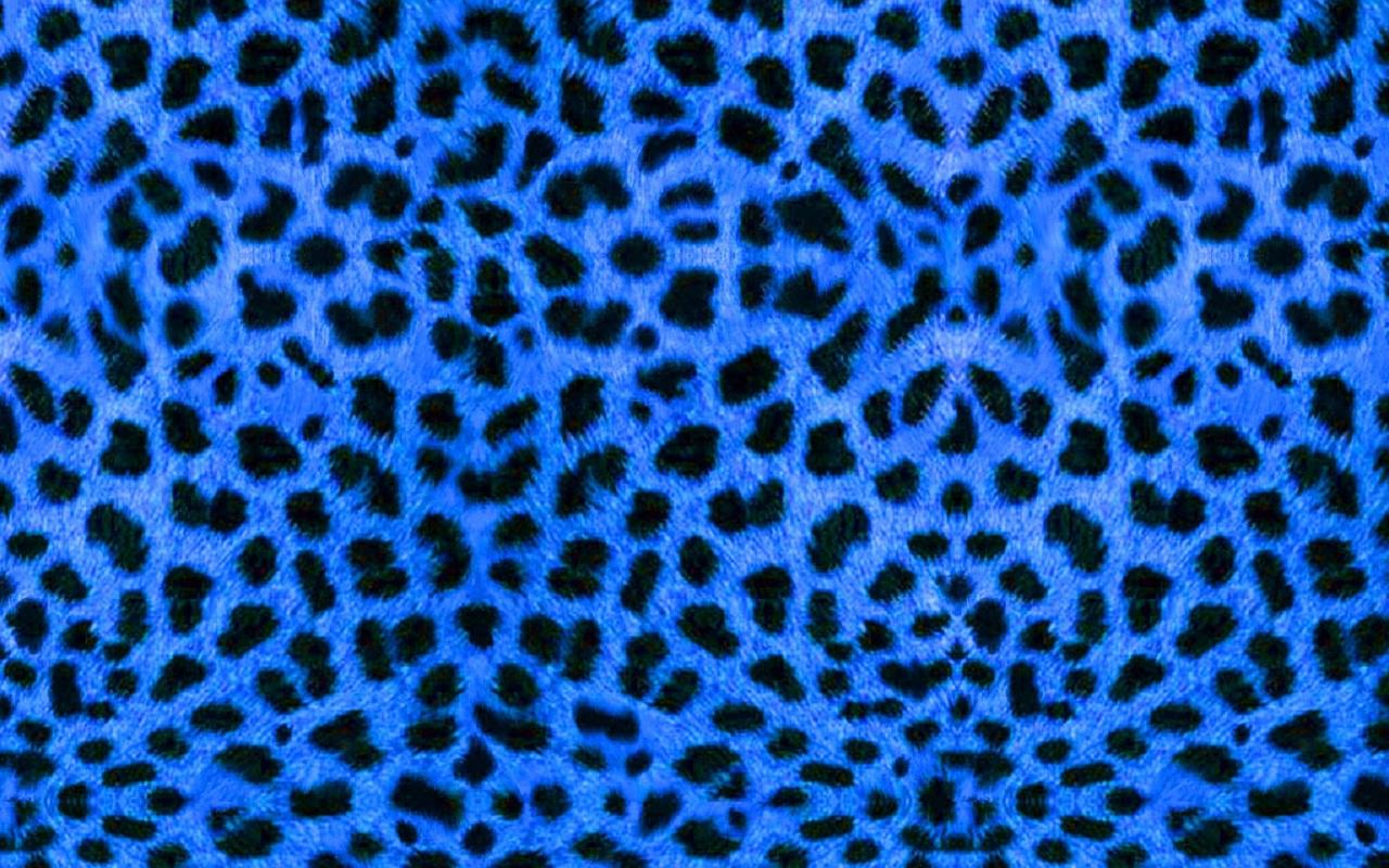 Blue Leopard Print Flats - wide 5