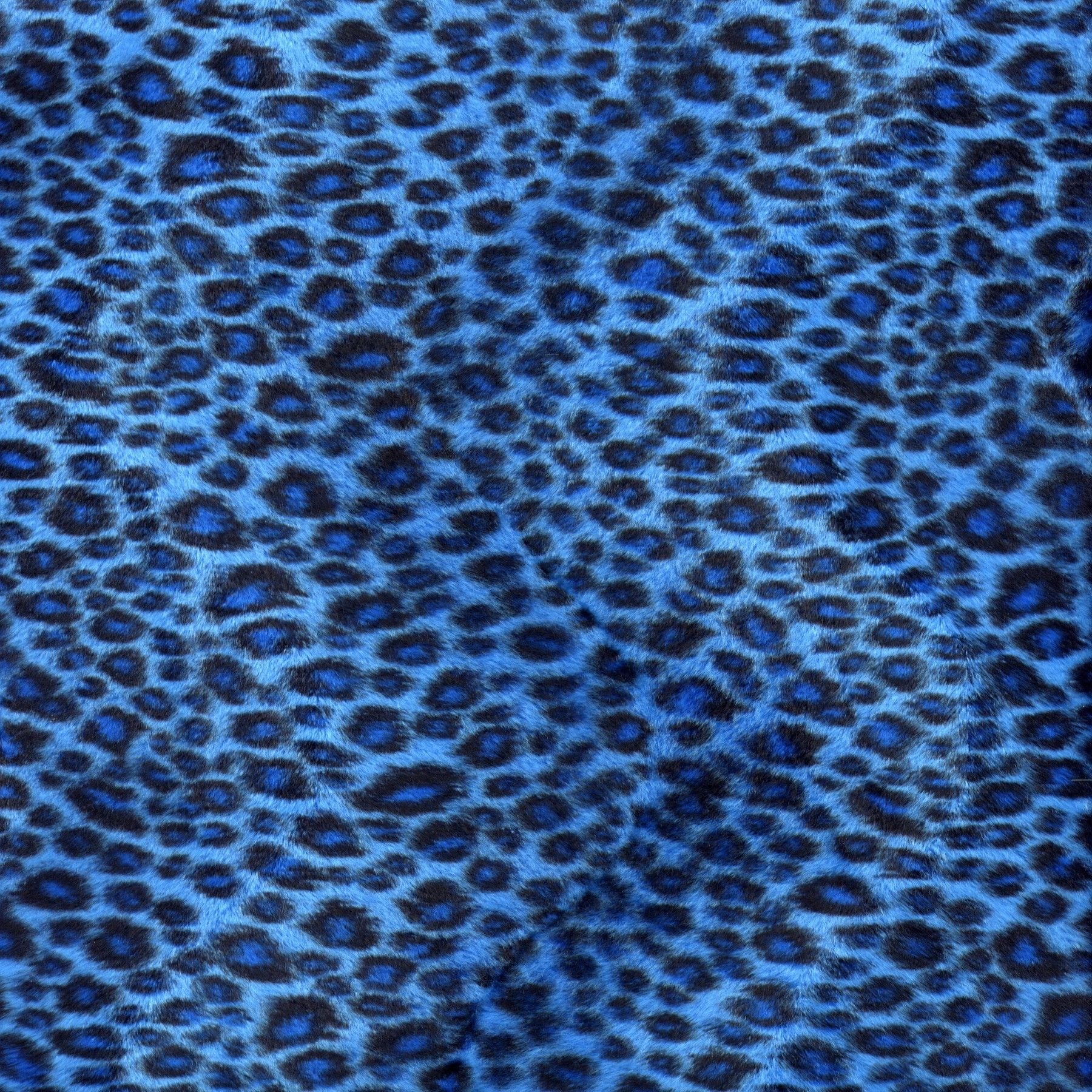 blue leopard wallpaper