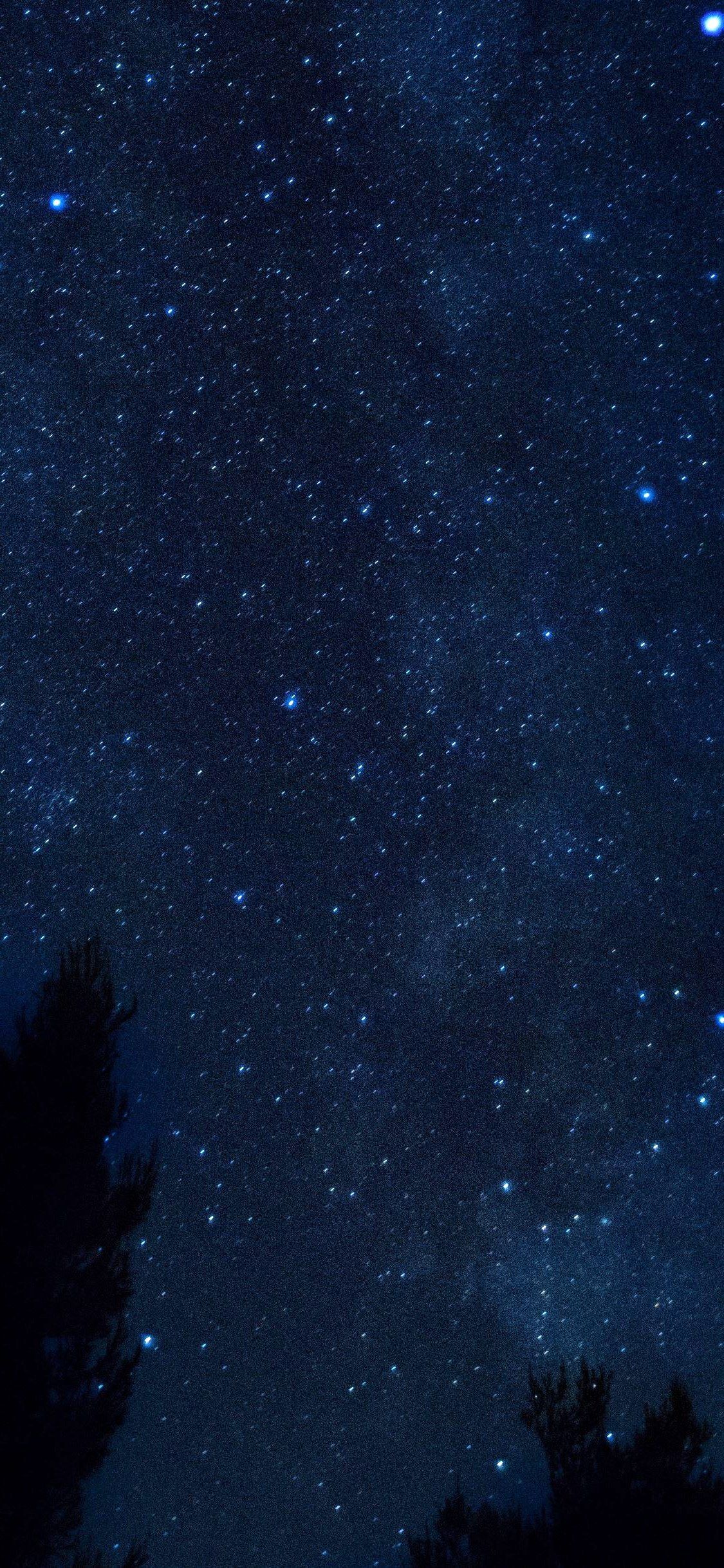 iPhone X Wallpaper Starry sky night trees HD. Night sky wallpaper, Night sky photography, Starry night sky