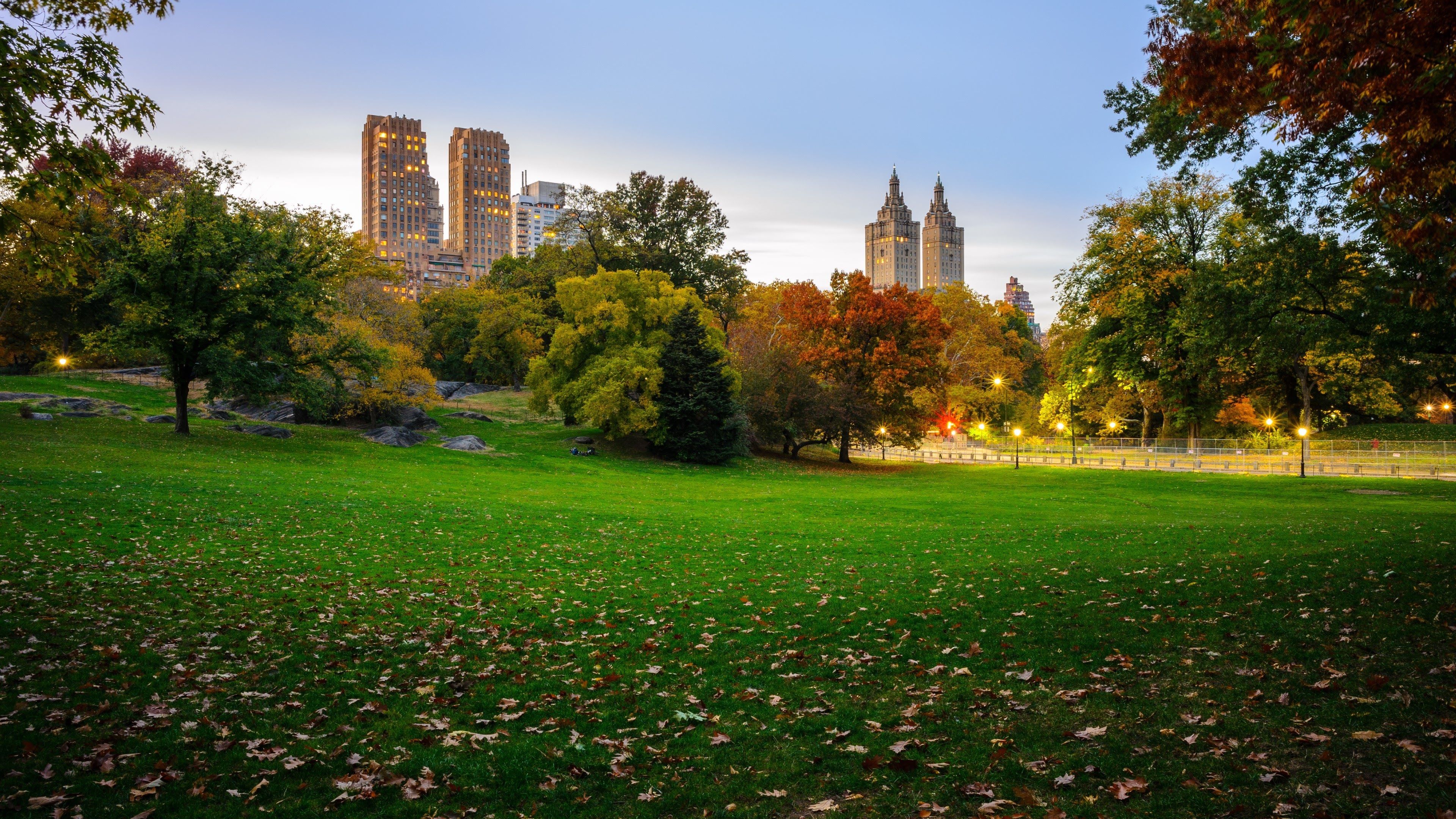 Wallpaper USA, New York, Central Park, skyscrapers, lawn, trees, autumn 3840x2160 UHD 4K Picture, Image