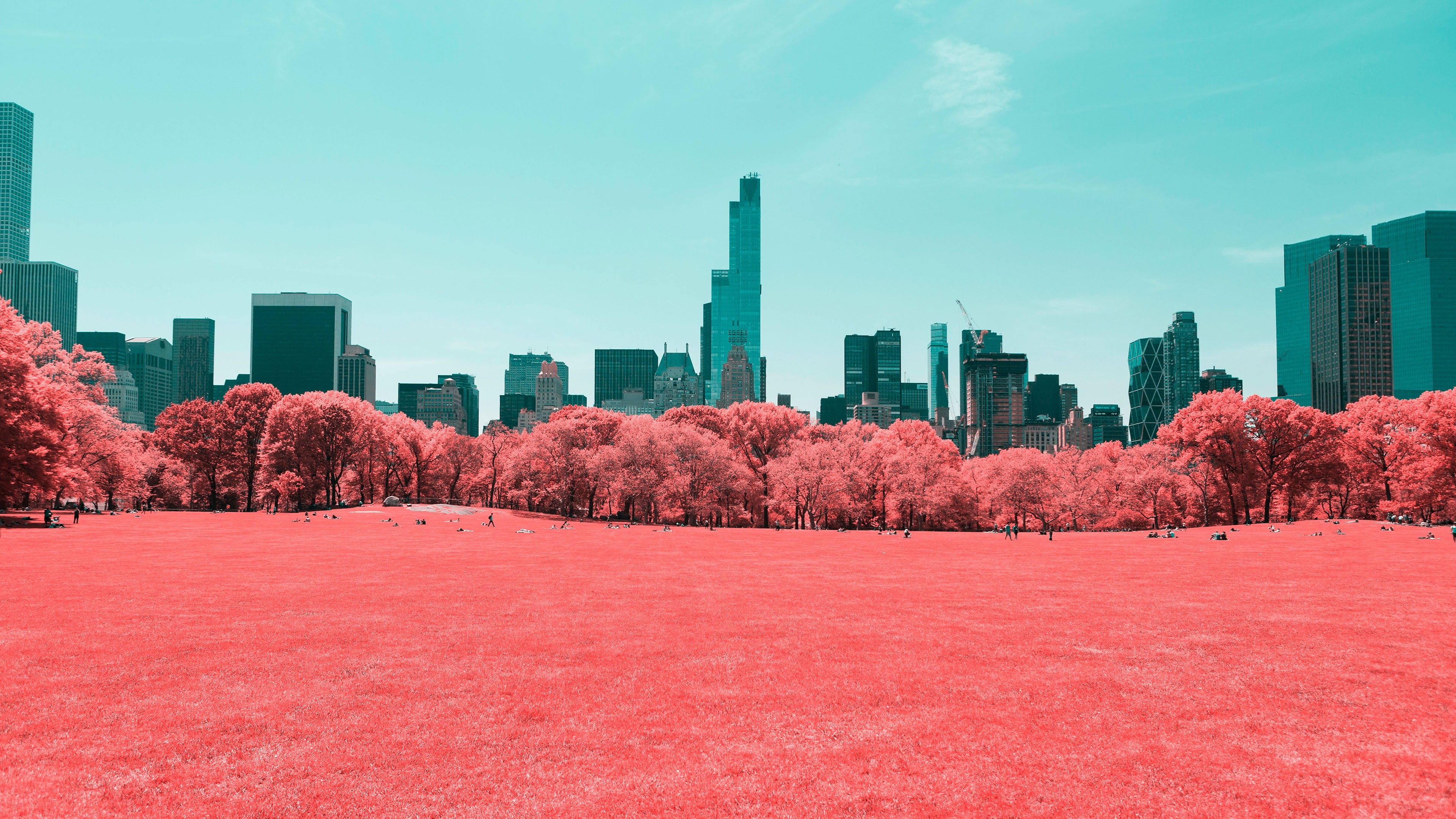 Wallpaper Central Park, Infrared, Manhattan, New York City, 4K, World,. Wallpaper for iPhone, Android, Mobile and Desktop