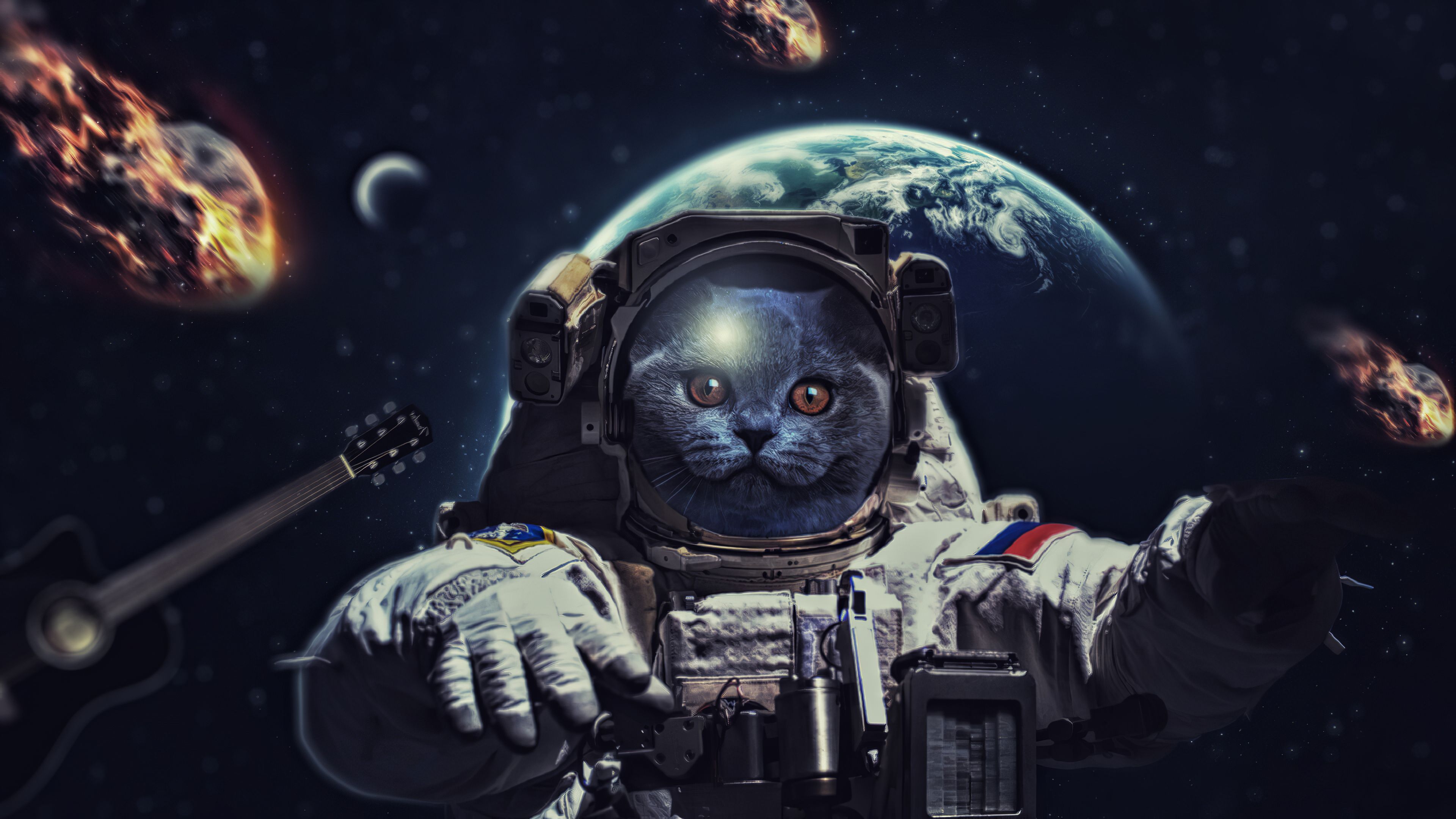 Wallpaper Astronaut, Cat, Space background