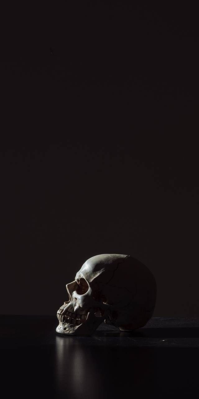 ZEDGE™ your phone. Skull wallpaper, Skull wallpaper iphone, Black skulls wallpaper
