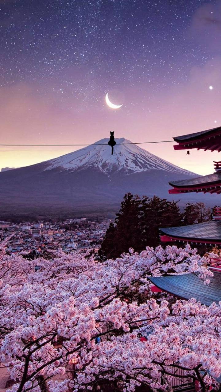 Japan wallpaper
