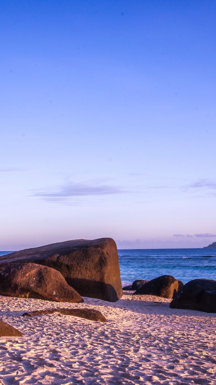 Download Palm tree, rocks, coast, beach wallpaper, 750x iphone iPhone 8