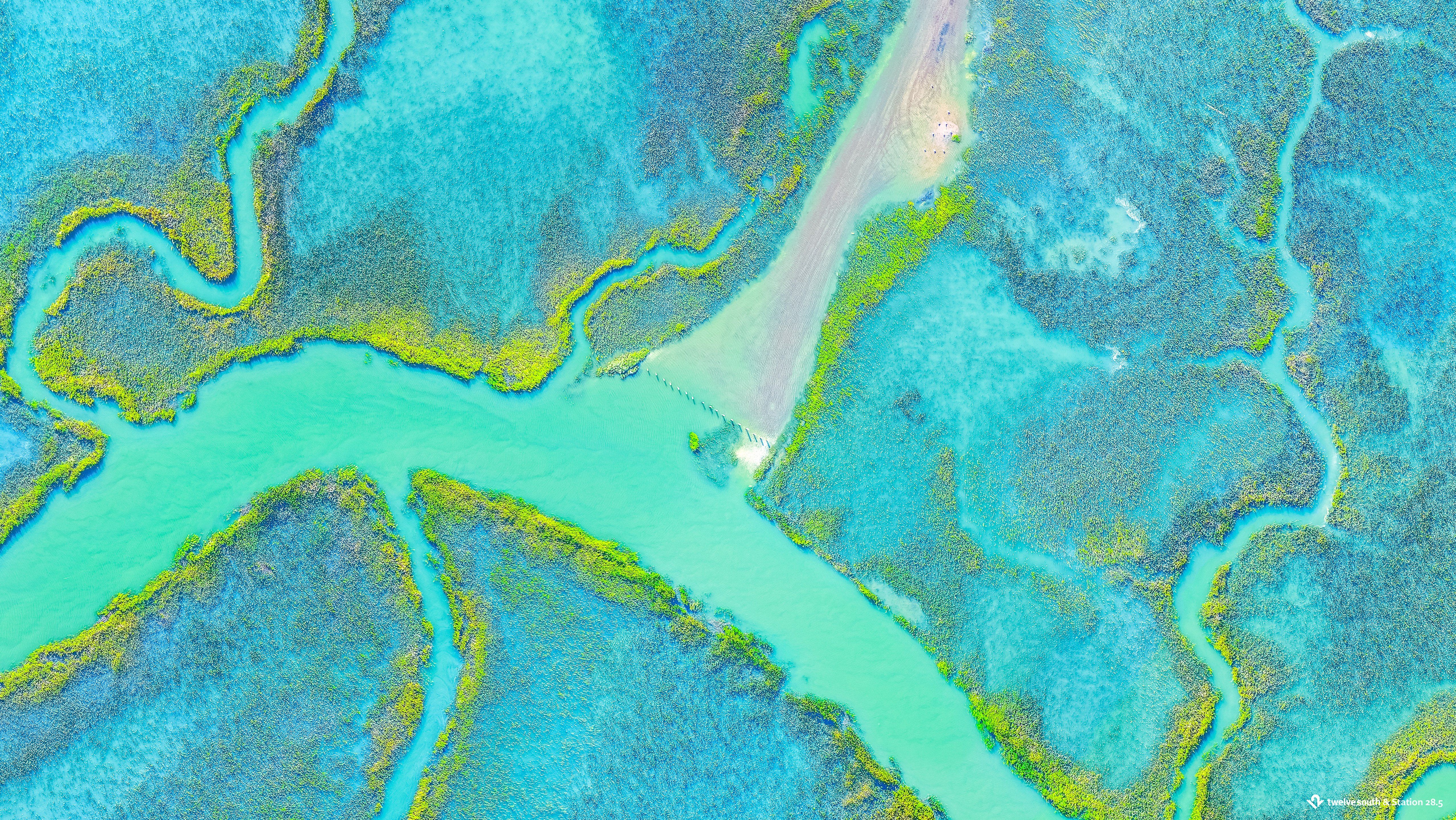 Charleston barrier islands dual screen wallpaper