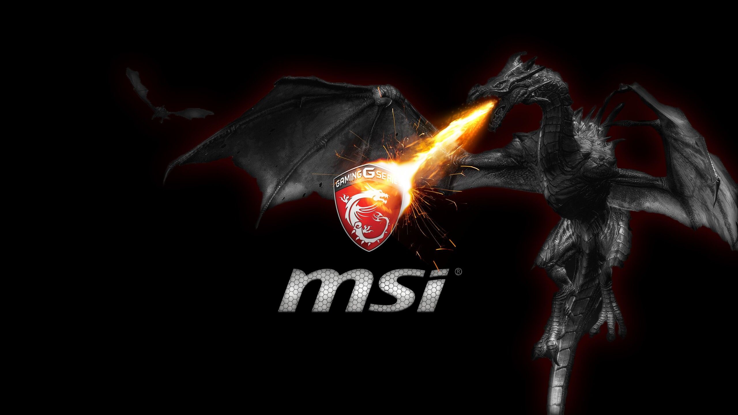 MSI 1440P Resolution HD 4k Wallpaper, Image, Background, Photo and Picture