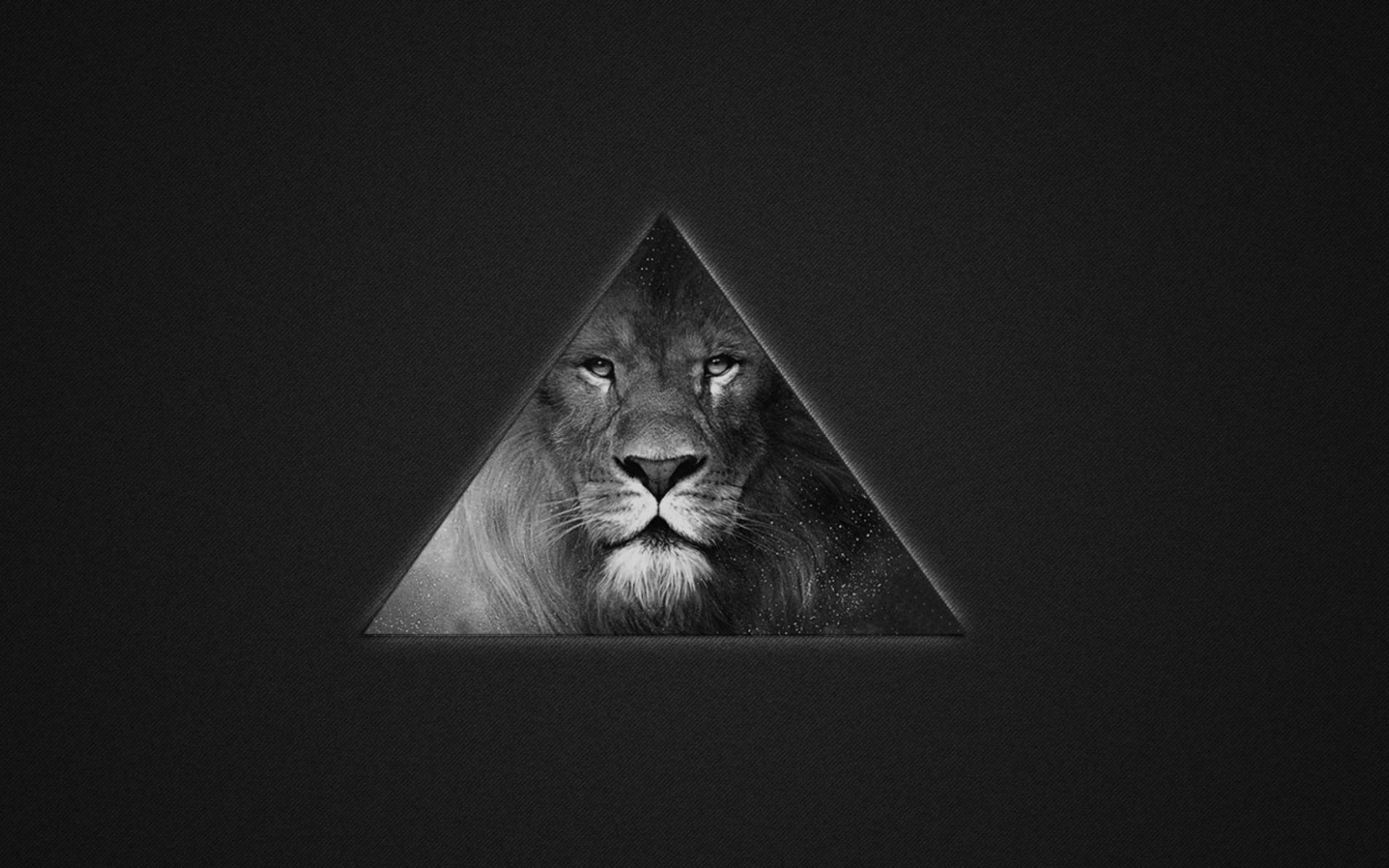 Free download Lions Black And White Triangle Wallpaper for Deskx1080 Full [1920x1080] for your Desktop, Mobile & Tablet. Explore Black and White Lion Wallpaper. White Lion Wallpaper Desktop