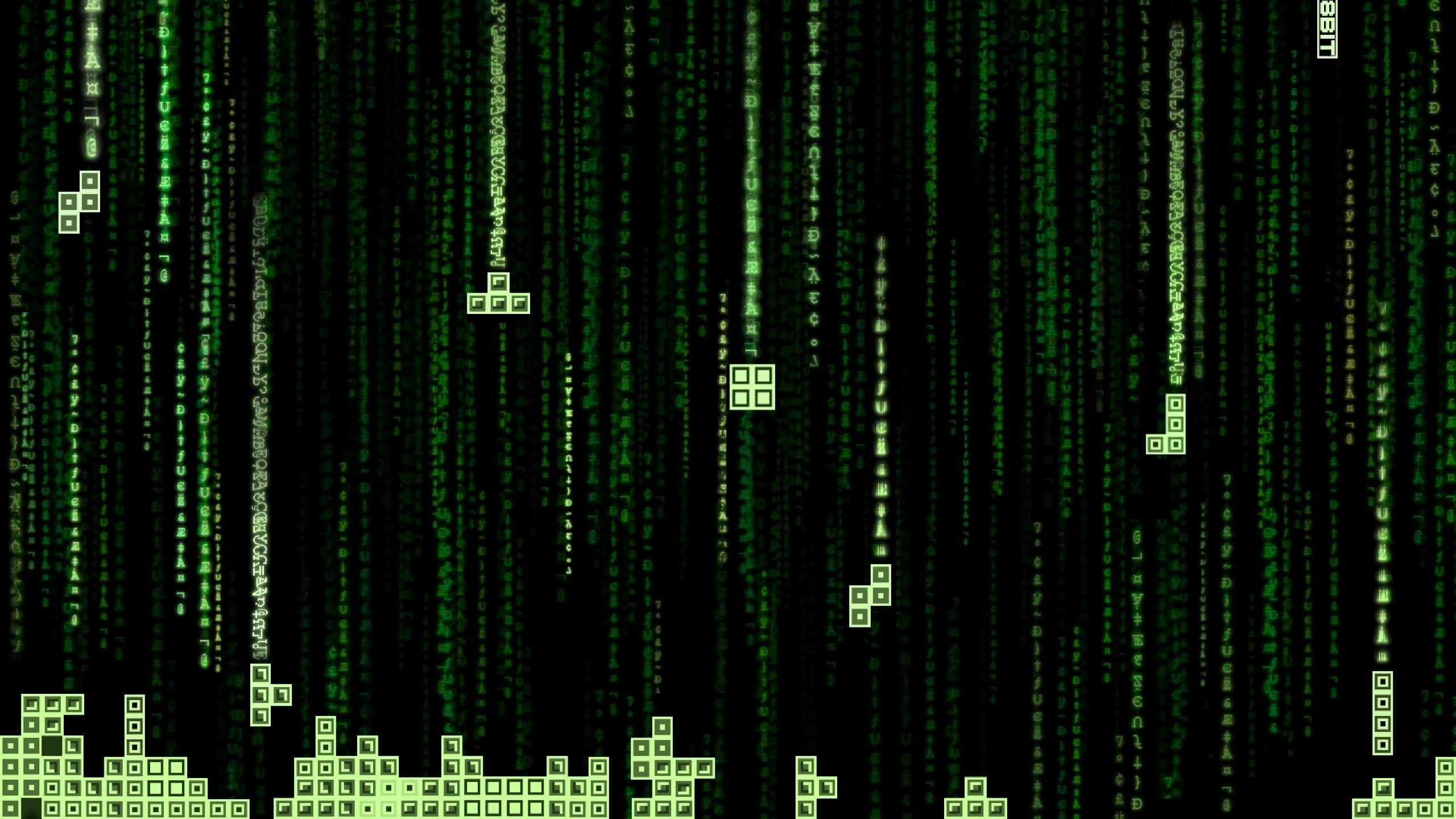 The Matrix Tetris Code 1440P Resolution Wallpaper, HD Games 4K Wallpaper, Image, Photo and Background