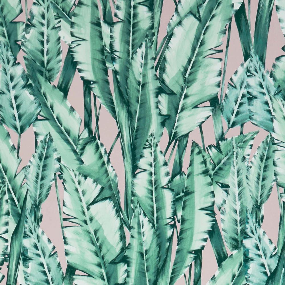 Tiger Leaf Wallpaper in Mint and Blush from the Folium Collection
