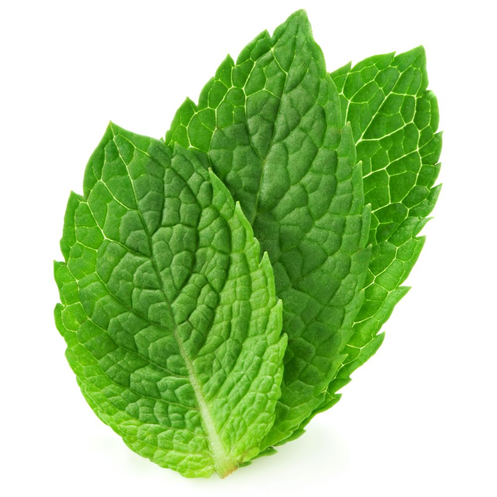 Food Background In High Quality: Mint Leaves by Slavasan Lynam, Saturday 29th August 2015