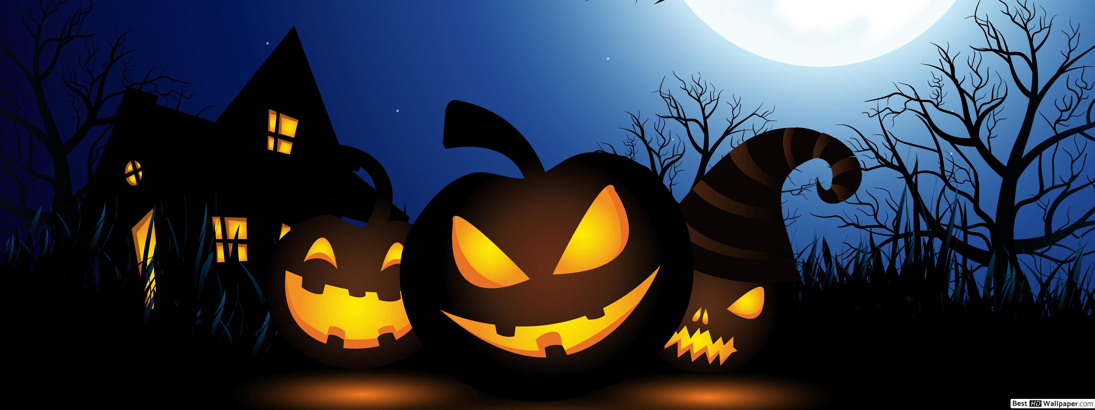Spooky Halloween Witch HD wallpaper download