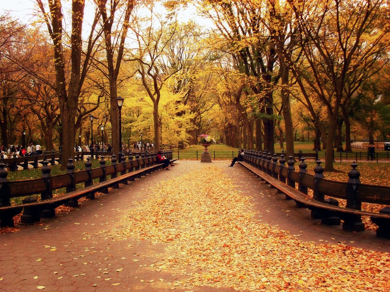 Romantic Autumn in New York Wallpaper. Autumn Wallpaper, Best Autumn Wallpaper and Lonely Autumn HD Wallpaper