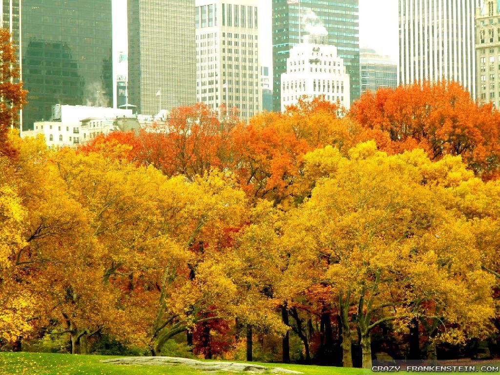 Autumn in NYC Wallpaper
