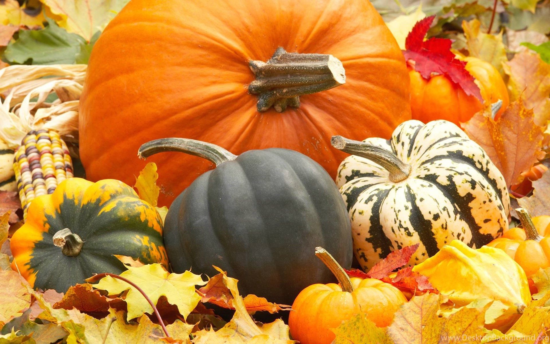 Fall Leaves And Pumpkin Wallpaper Desktop Background