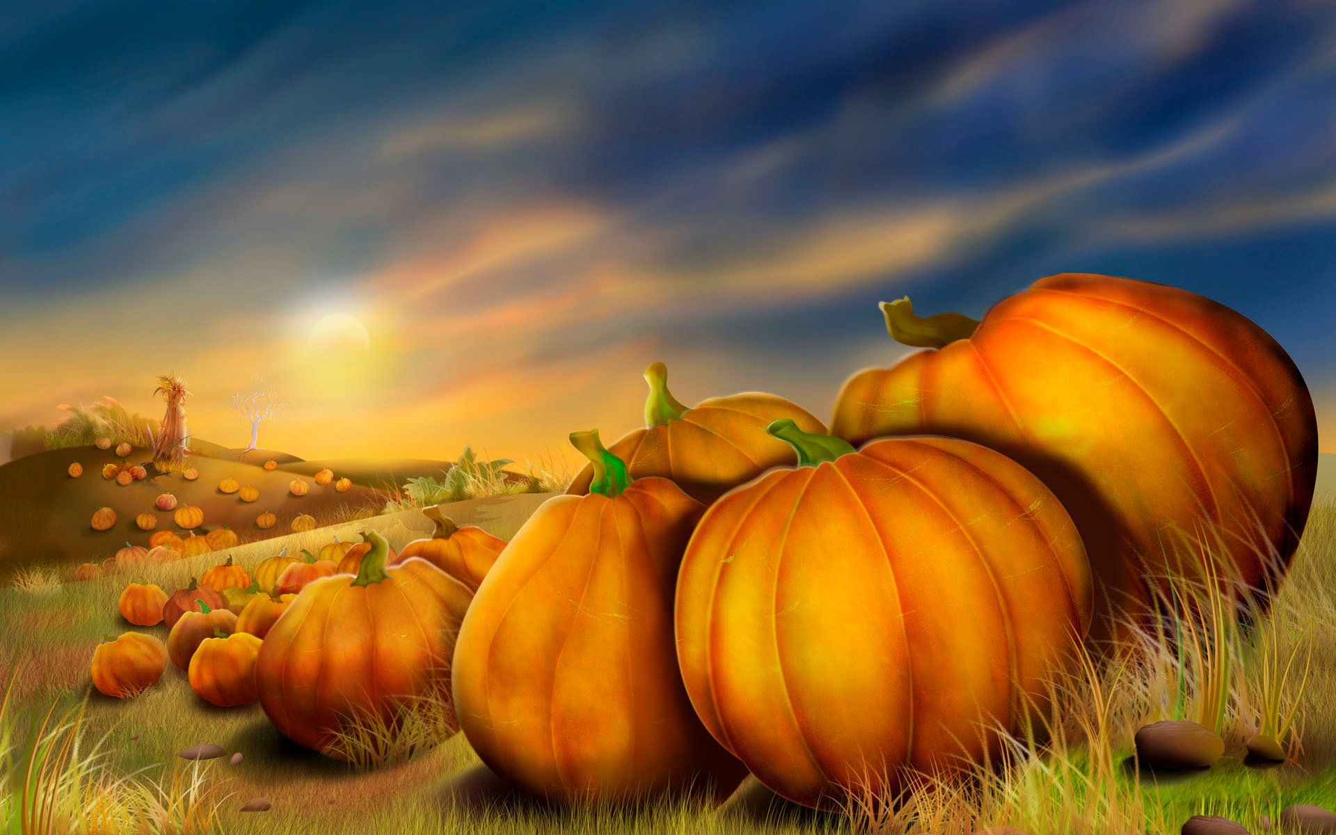 Thanksgiving Day Pumpkin Wallpaper