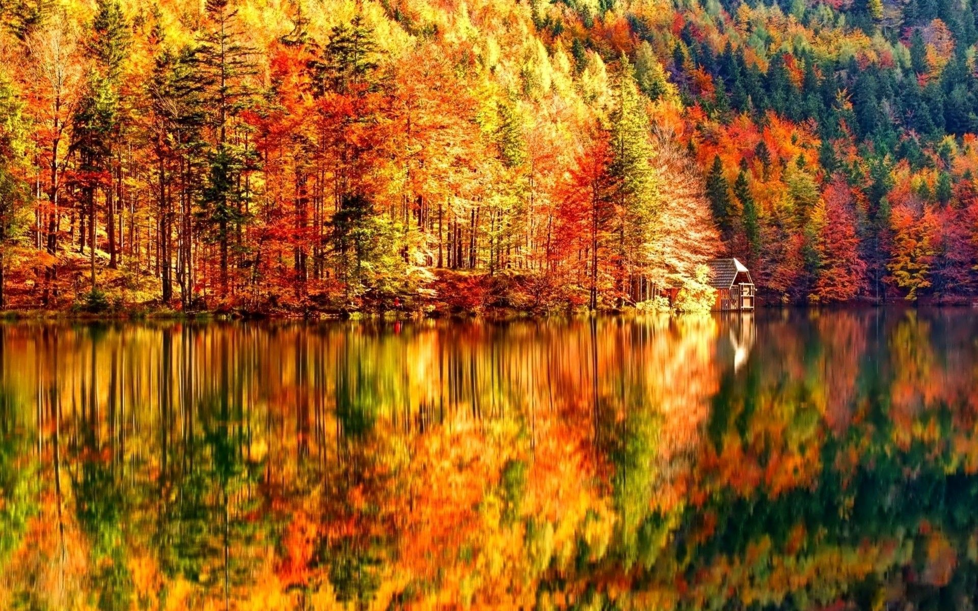 Quelques superbes paysages d'automne. Autumn landscape, Desktop wallpaper fall, Landscape wallpaper