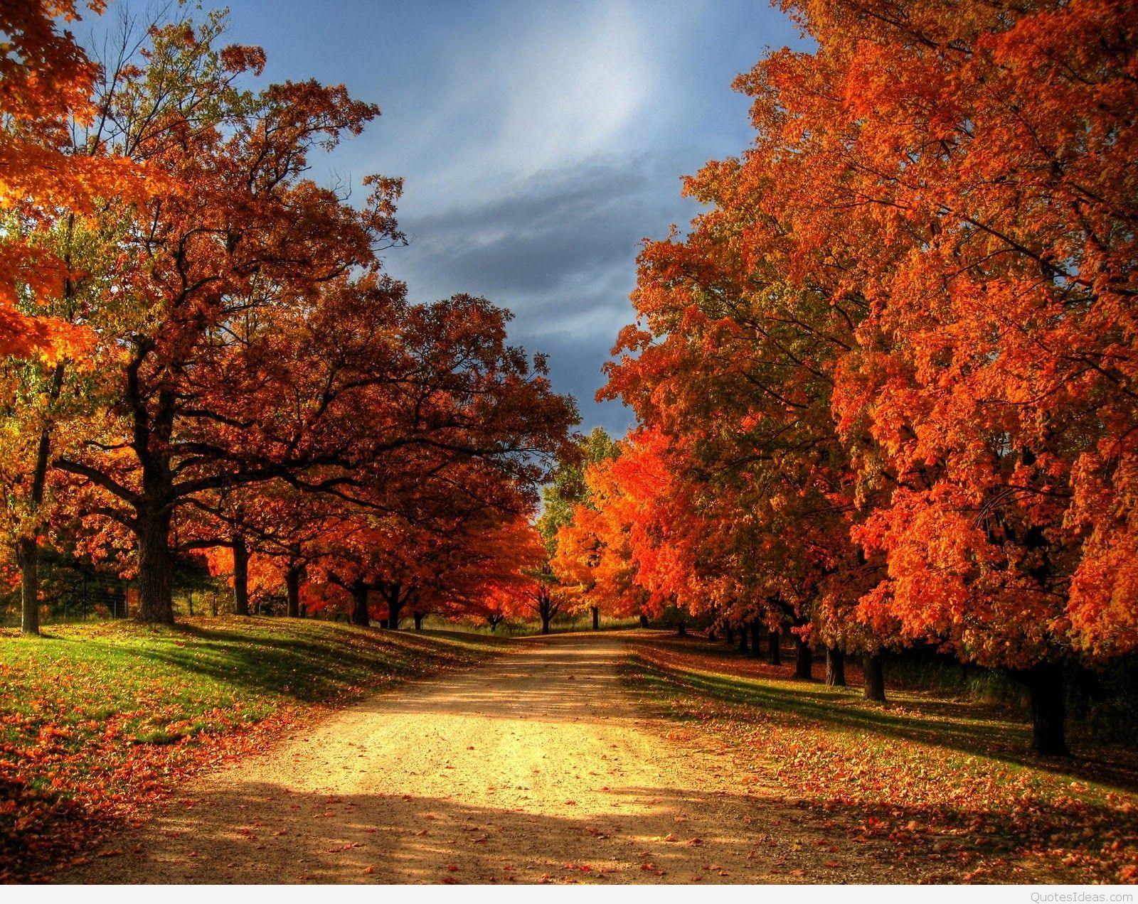 Autumn Leaves And Landscapes Wallpapers - Wallpaper Cave