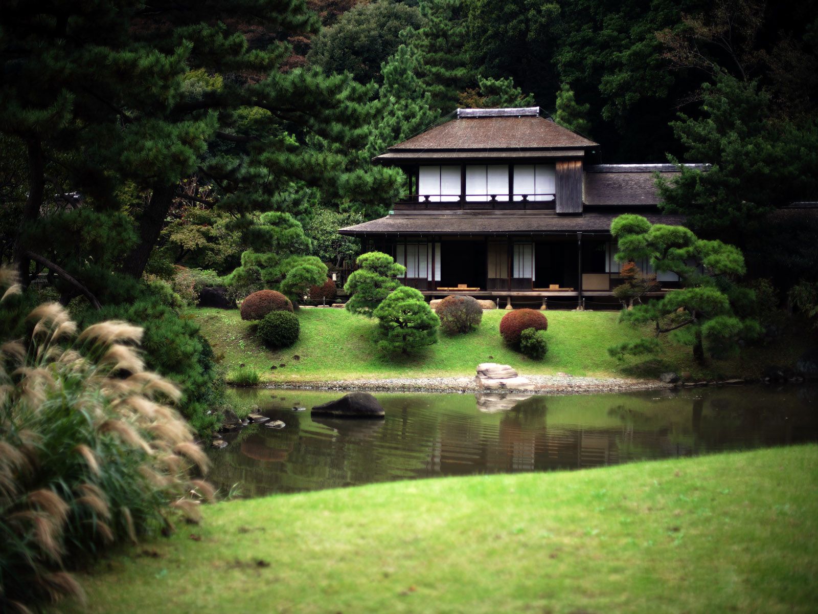 Beautiful Japanese House Wallpaper Widescreen Japanese House In Forest