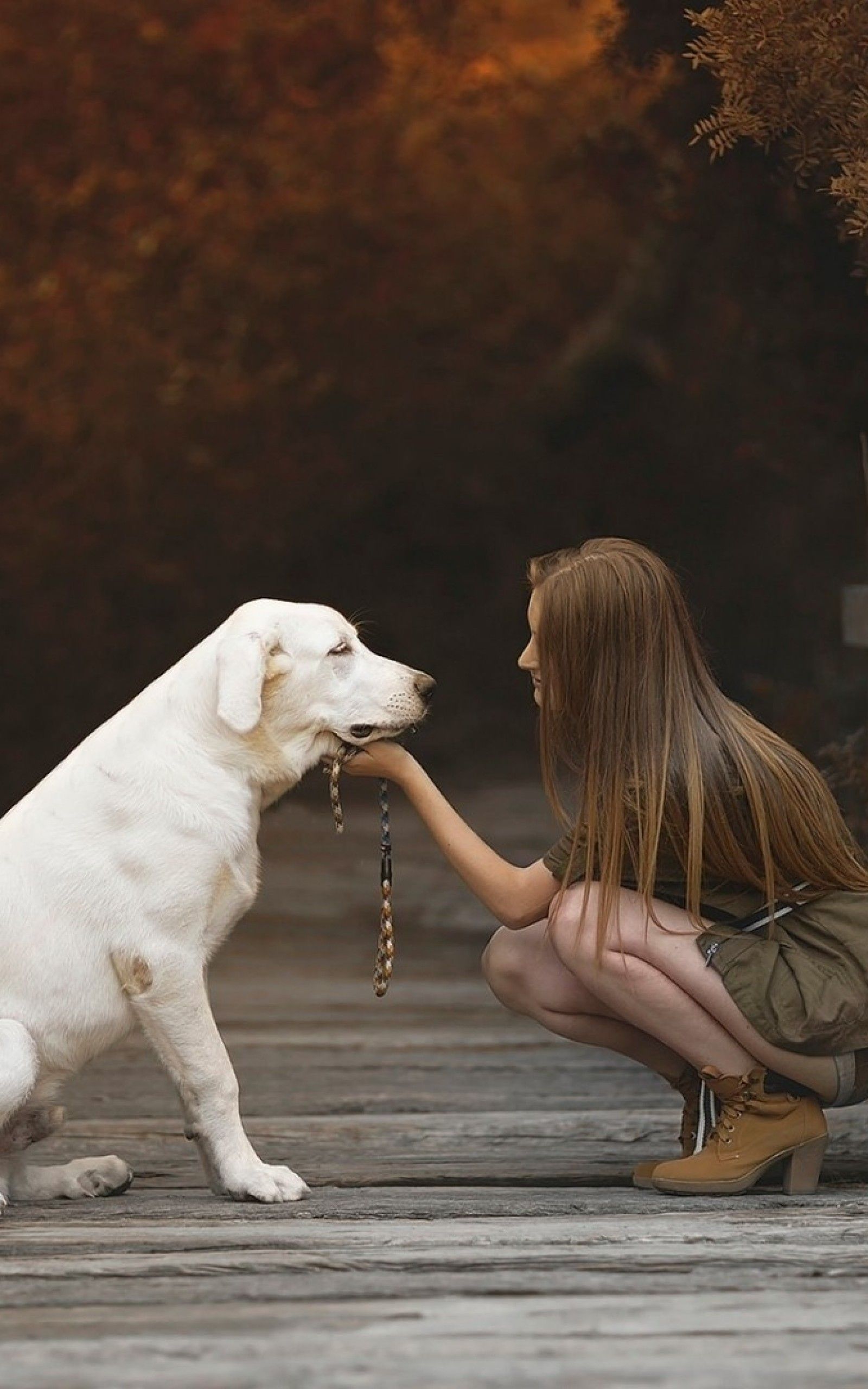 Download 1600x2560 Labrador Retriever, White, Women, Autumn Wallpaper for Google Nexus 10