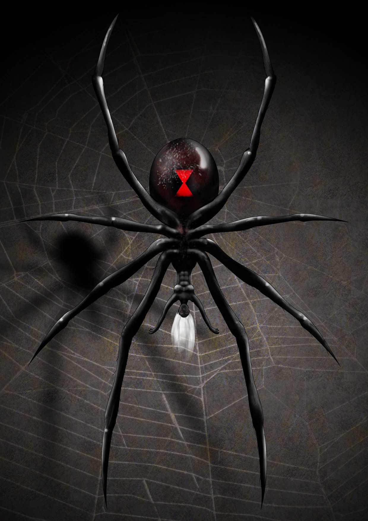 Black Widow Spider Wallpapers Wallpaper Cave