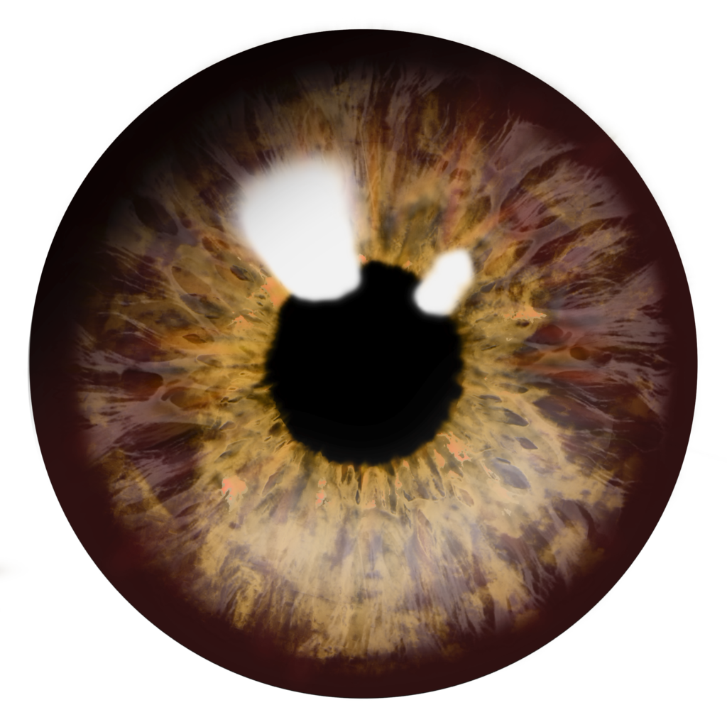Eyes PNG image free download