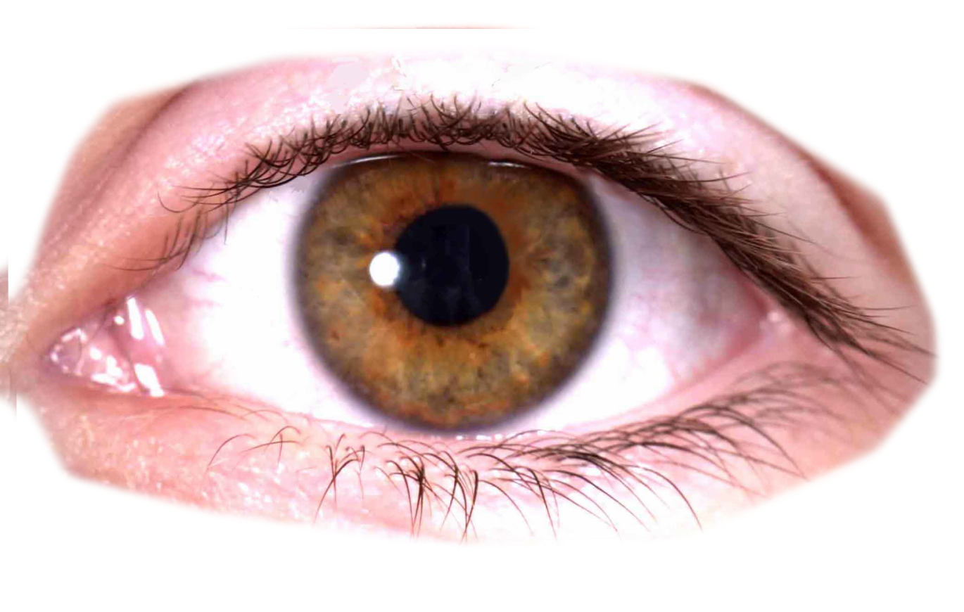 Eyes PNG image free download