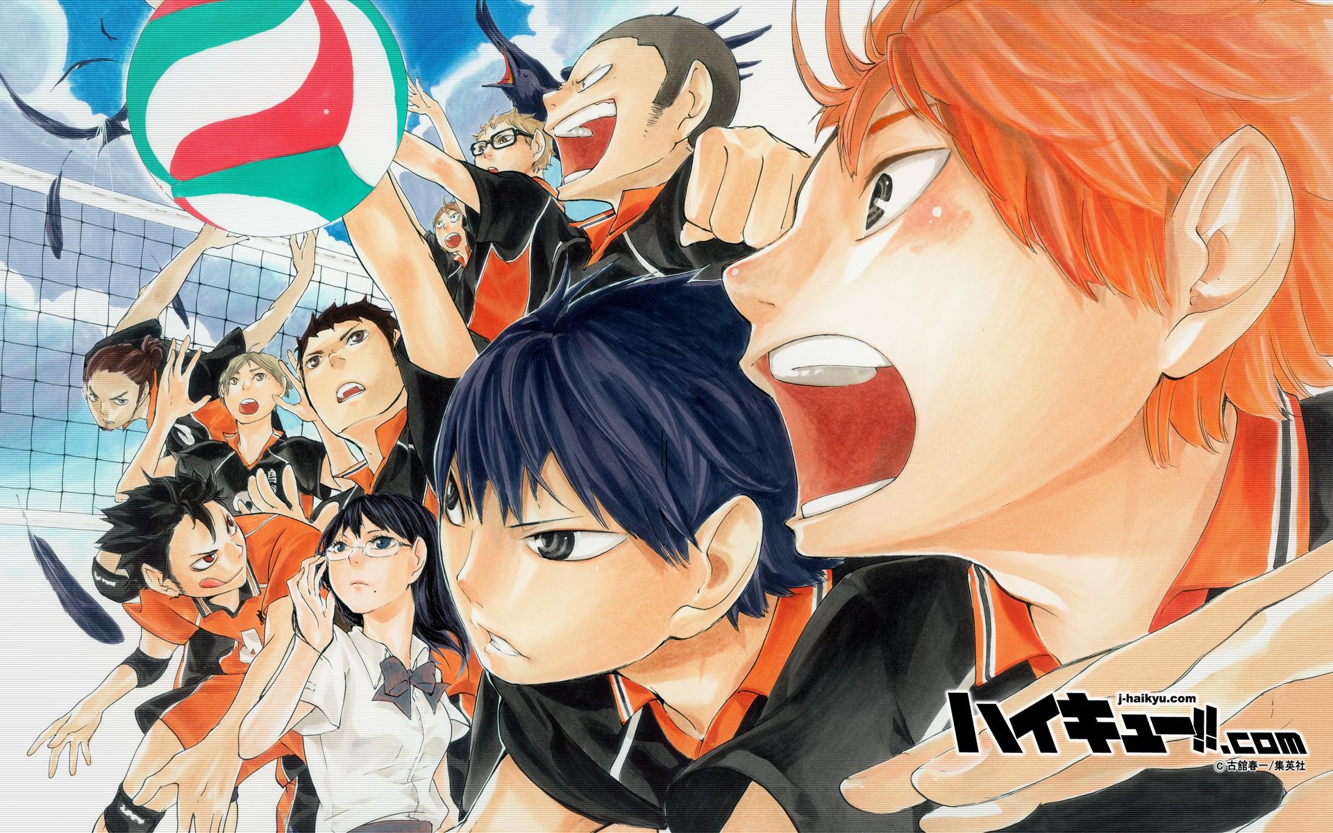 Haikyuu!! (Tobio Kageyama, Shouyou Hinata, Asahi Azumane, Tadashi Yamaguchi, Yuu Nishinoya, Kiyoko Shimizu, Ryuunosuke Tanaka, Kei Tsukishima, Koushi Sugawara, Daichi Sawamura)