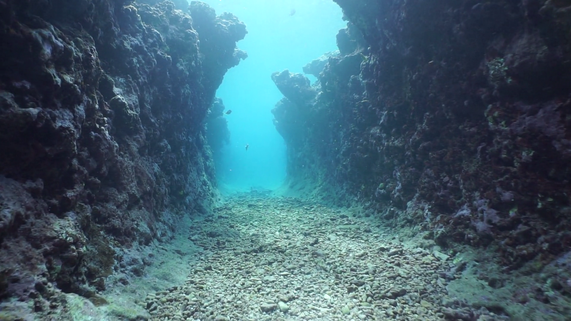 Image result for underwater trench. Underwater, Ocean trench, Arctic ocean