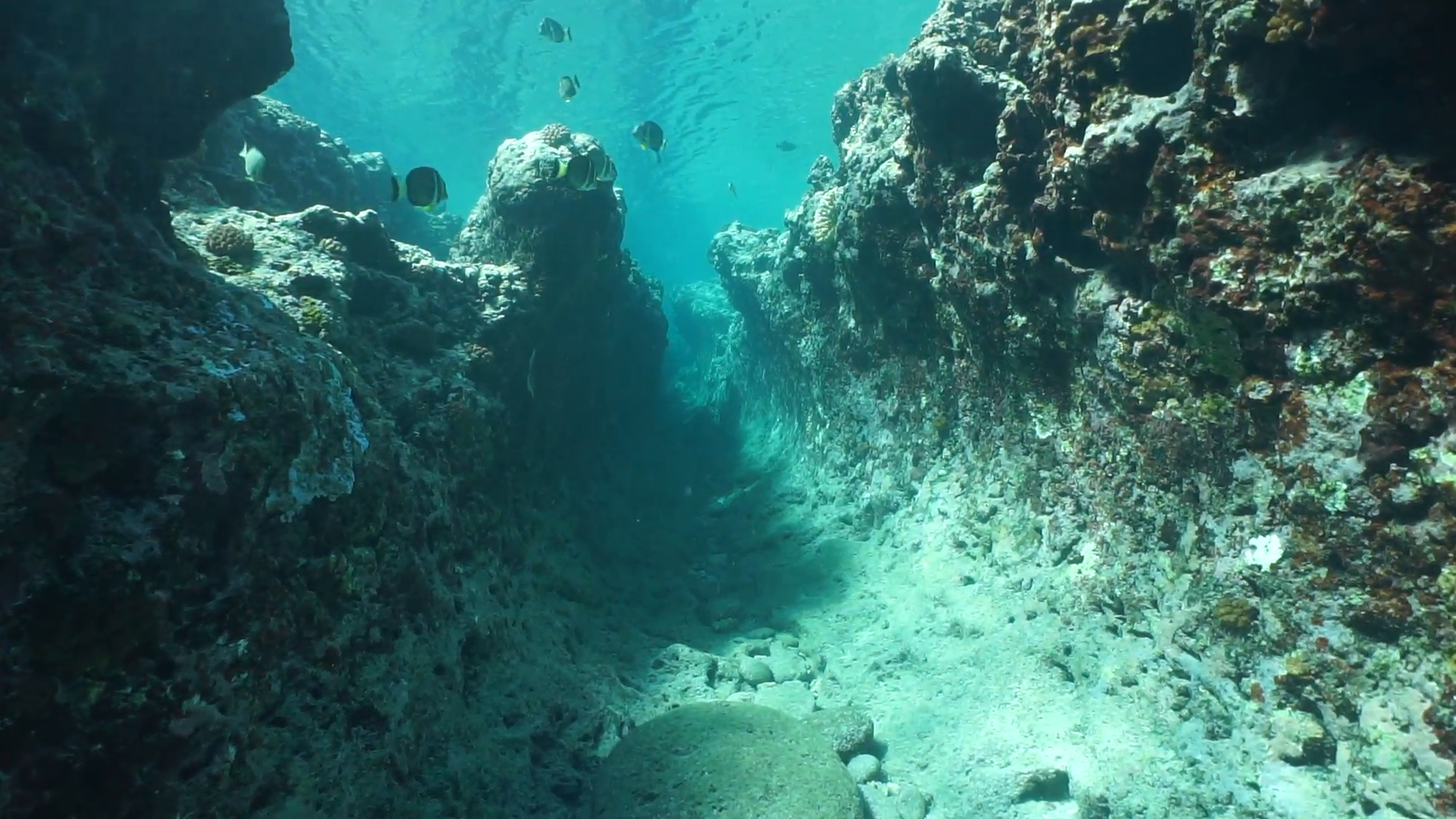 Moving Underwater In A Trench On The Ocean Floor Carved By The Swell Into The Fore Reef Huahine Island Pacific Ocean French Polynesia_byxtuw4v__F0006.png 1920×