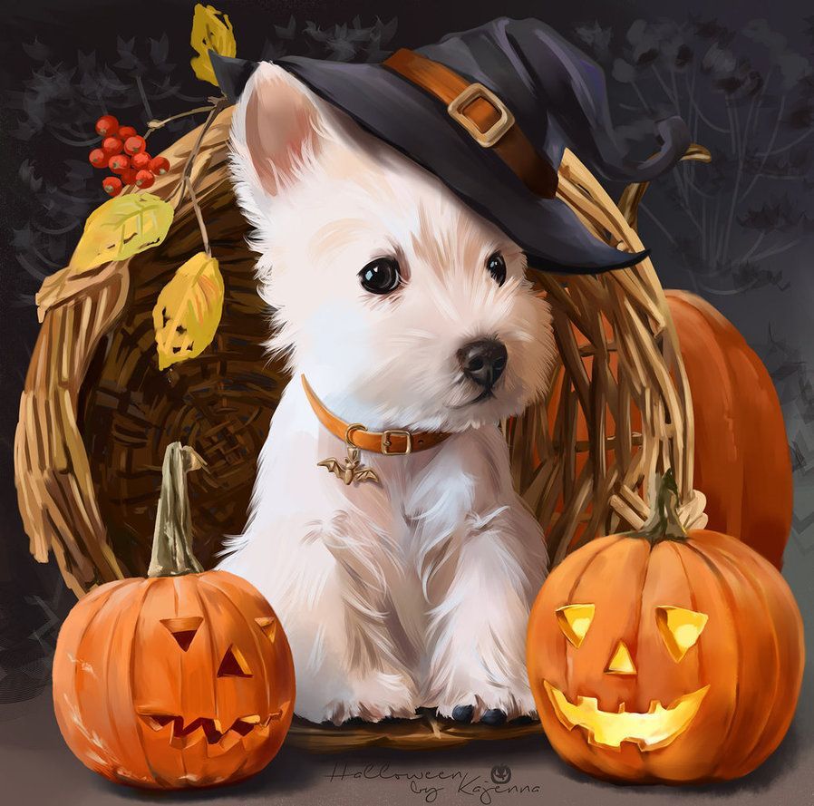 Paint Shop Pro Compatible PSD Character Separate From Background 1450x2000x300ppi Picsfordesign.com En Catalogu. Halloween Puppy, Dog Halloween, Halloween Animals