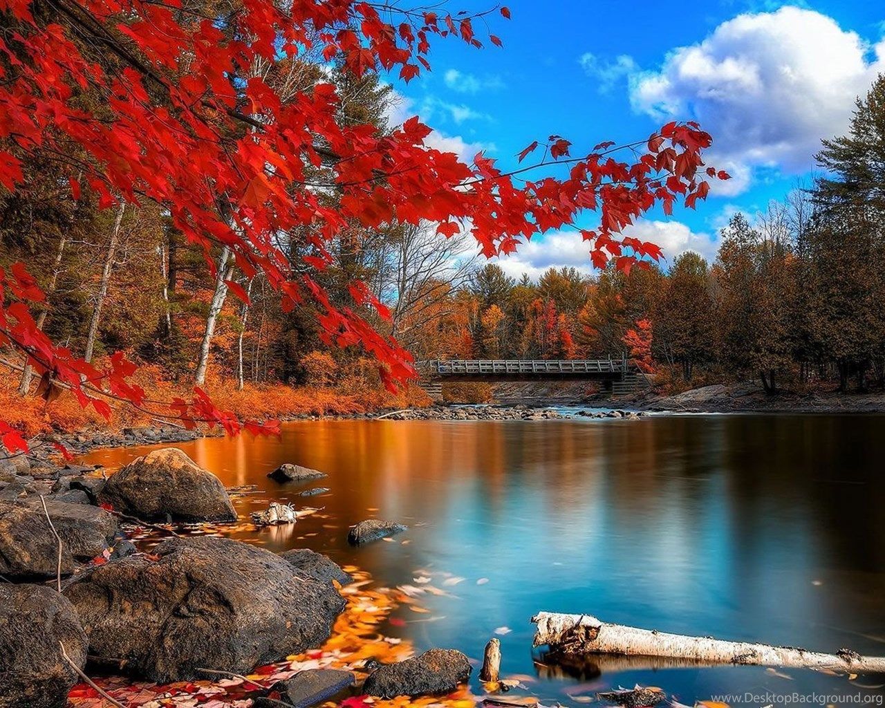 Colorful Autumn Lakeside Trees Wallpaper Nature Wallpaper Desktop Background