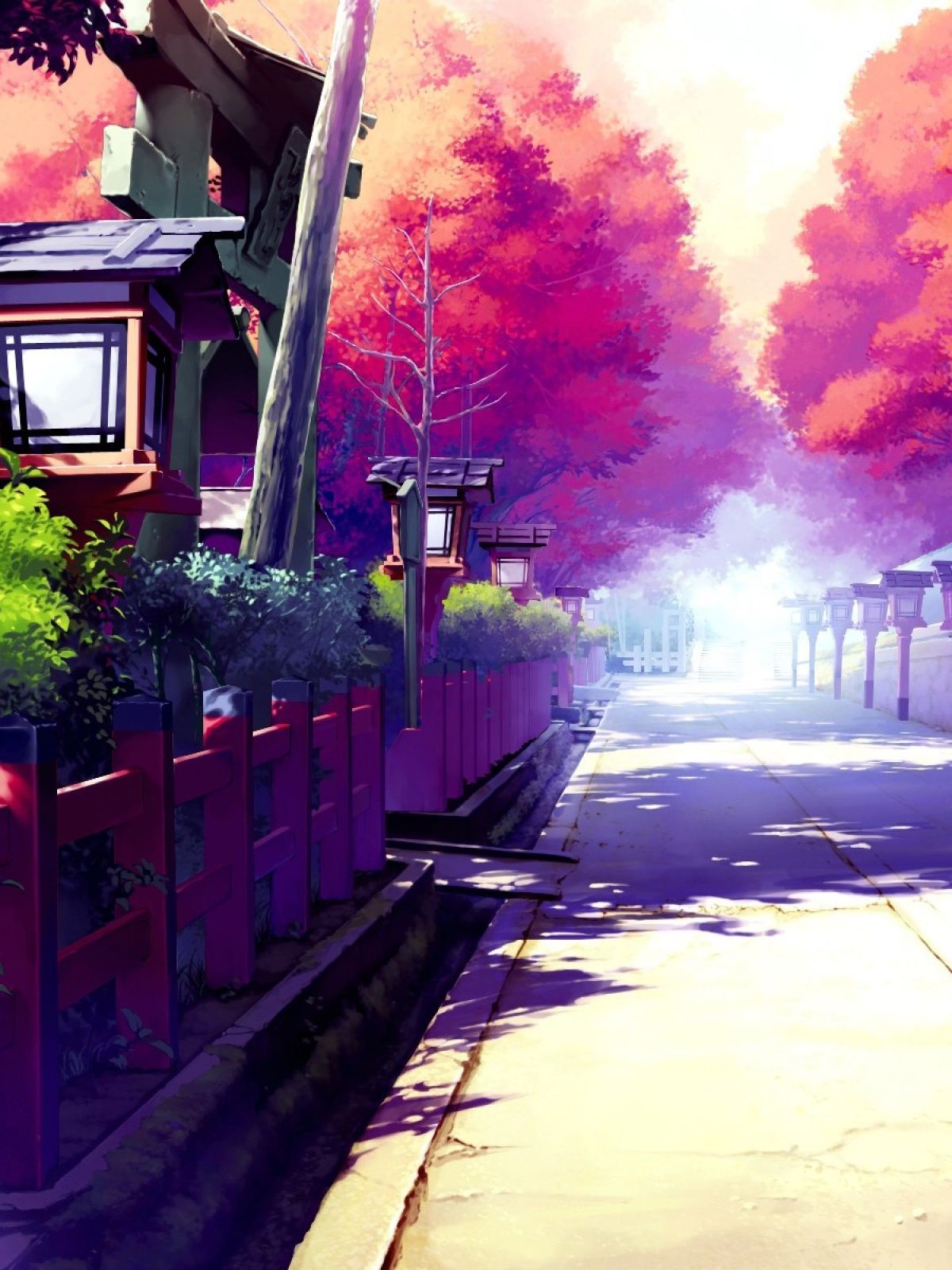 Trees in Autumn [1200x1600]. Anime wallpaper phone, Anime scenery, Anime wallpaper iphone