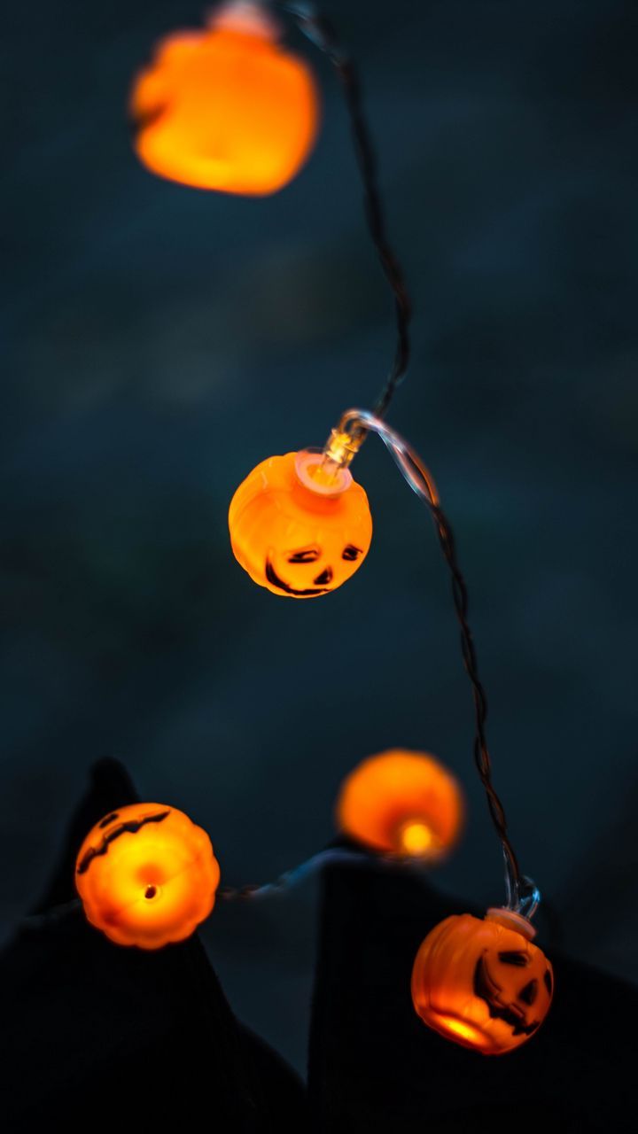 Download wallpaper 720x1280 garland, pumpkin, halloween, lighting, light bulbs samsung galaxy mini s3, s5, neo, alpha, sony xperia compact z1, z2, z3, asus zenfone HD background