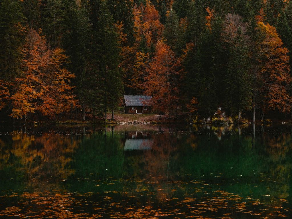 Autumn Forest House Italy Lake. Осенний пейзаж, Пейзажи, Осень