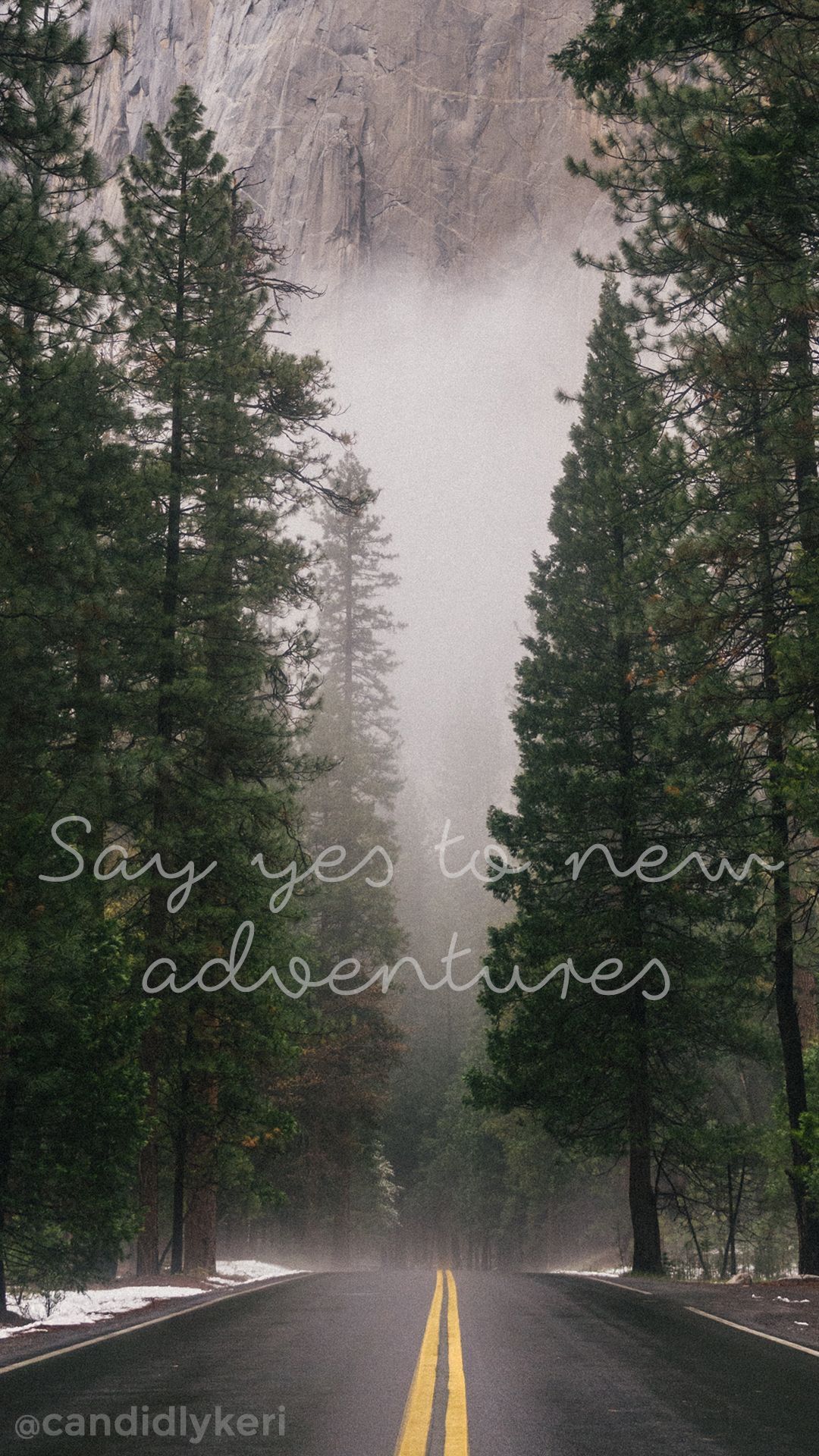 Say yes to new adventures forest fog wallpaper you can download for free on the blog! For. December wallpaper iphone, Mobile wallpaper, Free wallpaper background