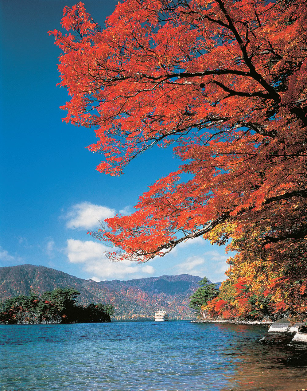 Fall Leaves at Lake Towada aptinet Aomori Sightseeing Guide