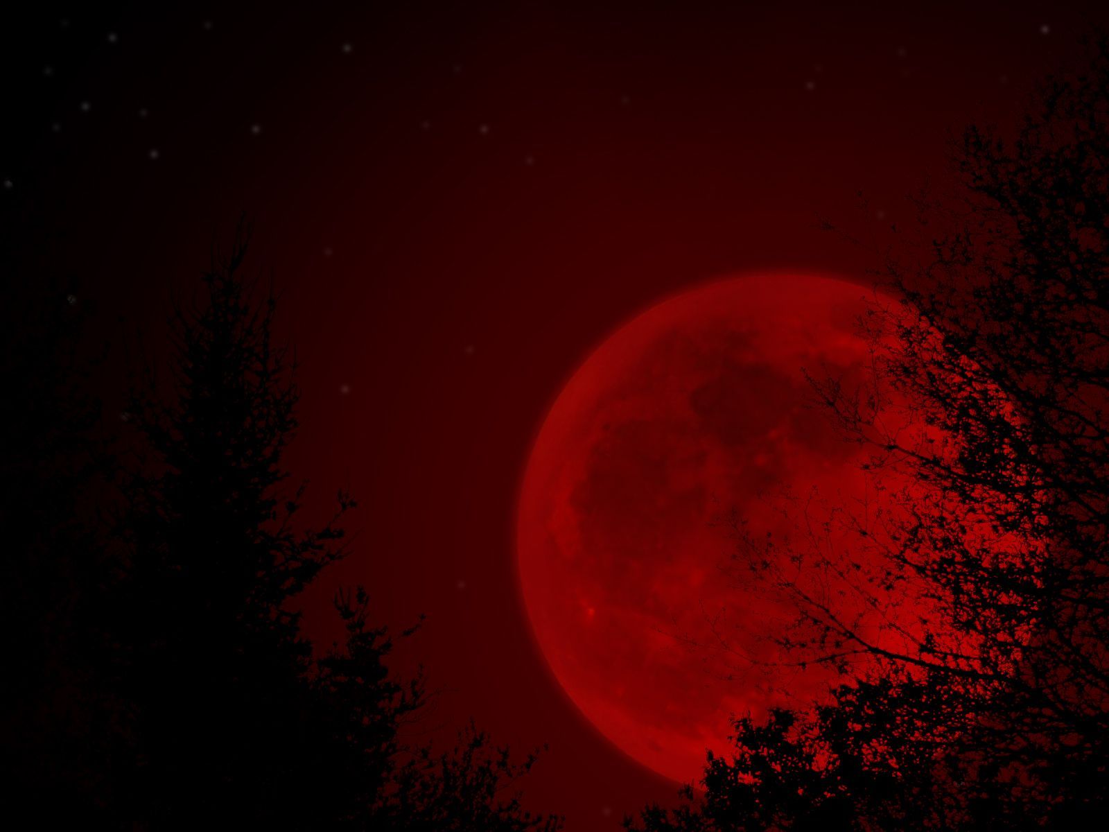 Red Moon ❤. Red moon rising, Red moon, Halloween moon