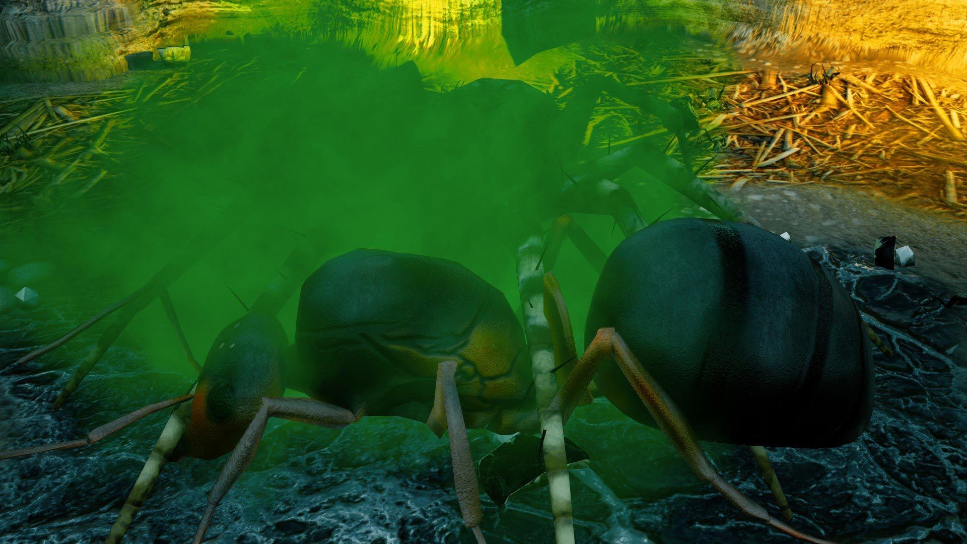 Steam - Empires of the Undergrowth - January 2019 Newsletter