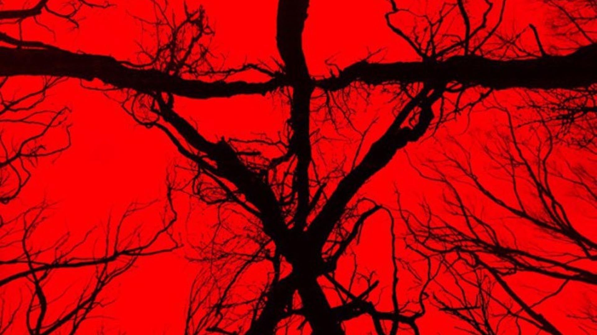 Blair Witch Review