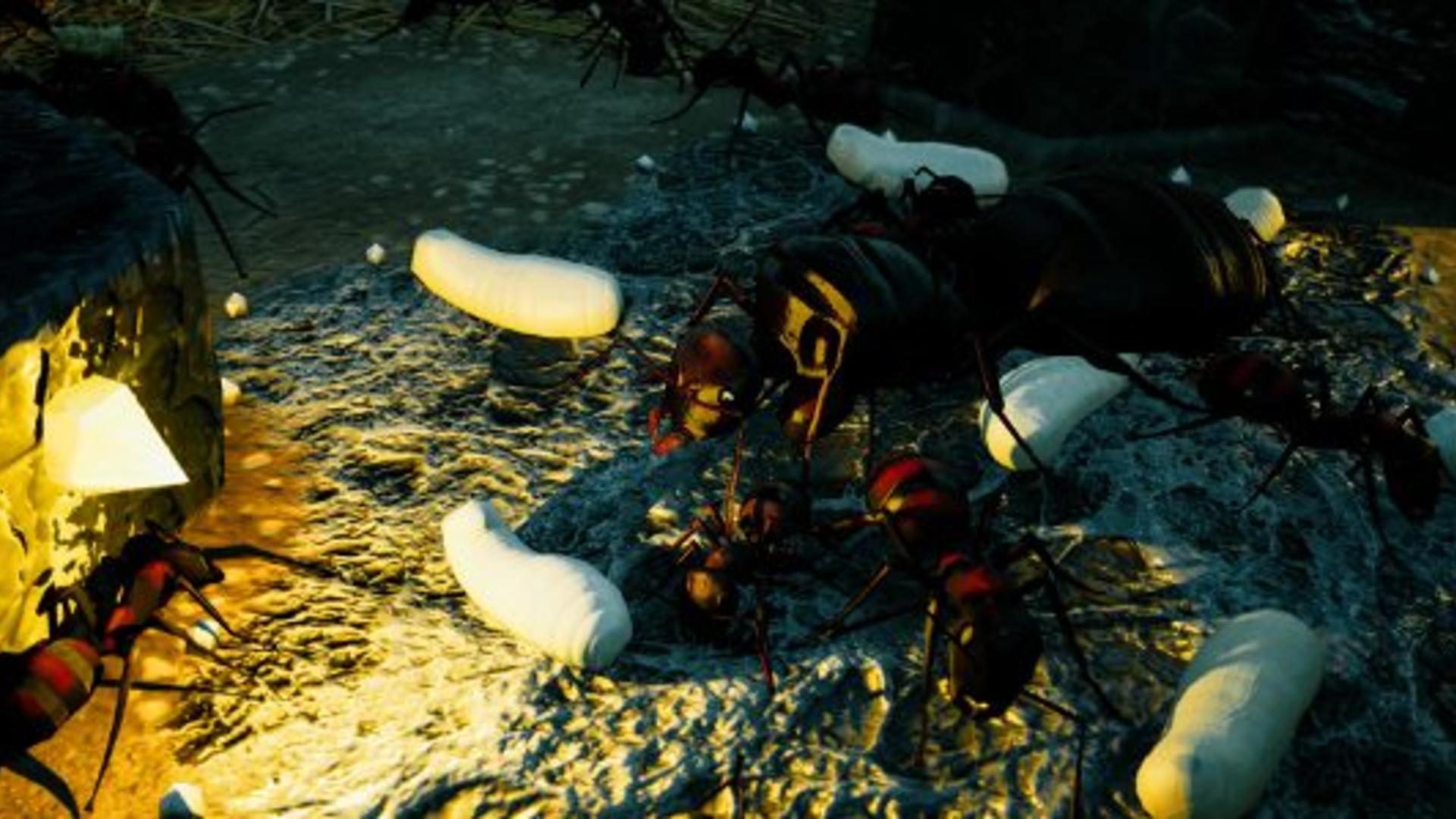 Empires of the Undergrowth review (early access). Rock Paper Shotgun