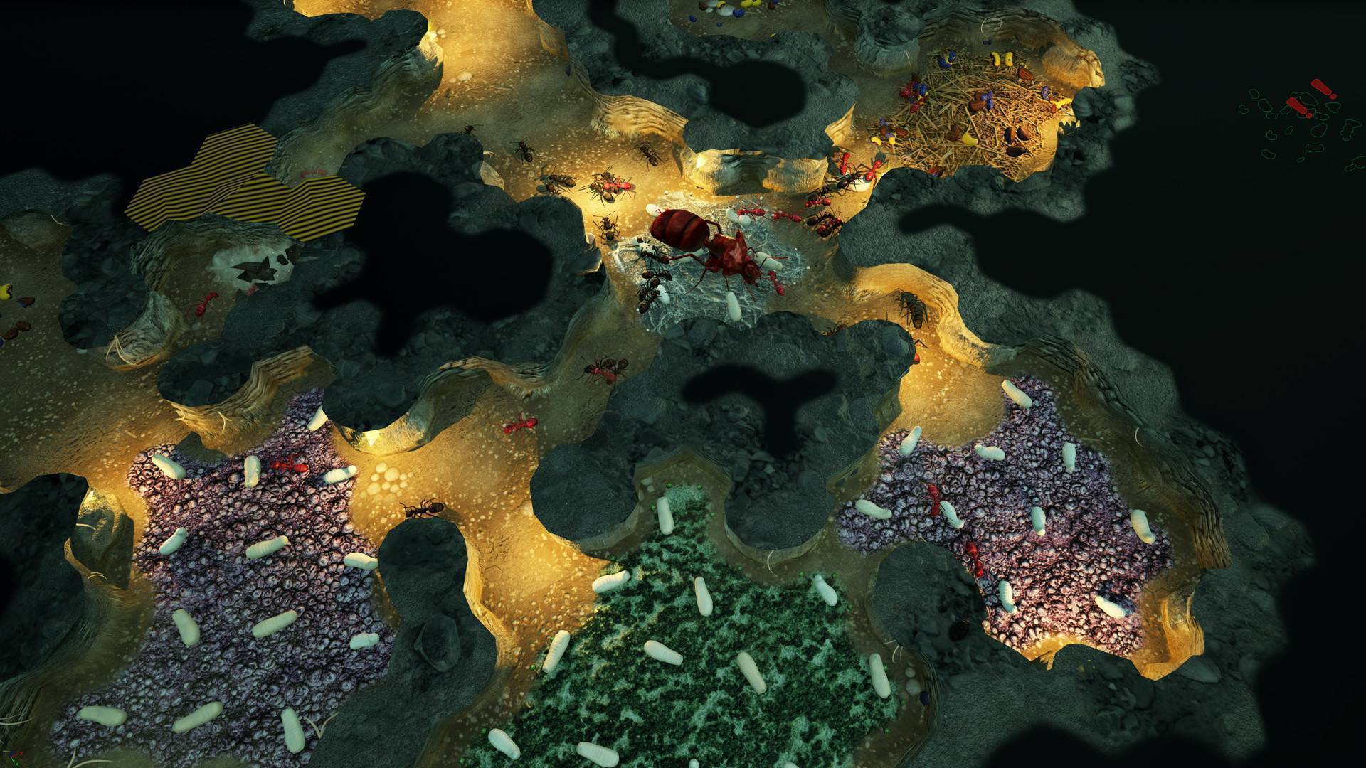 Buy Empires of the Undergrowth pc cd key for Steam