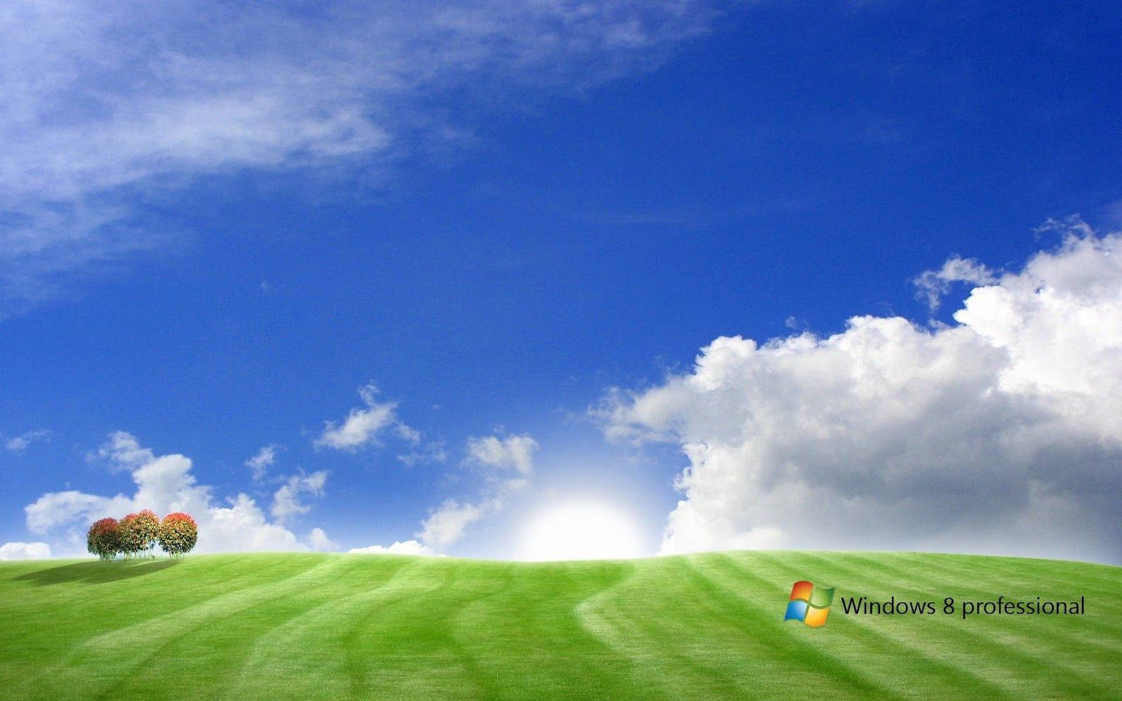 hd wallon: Windows 8 Wallpaper Low Quality