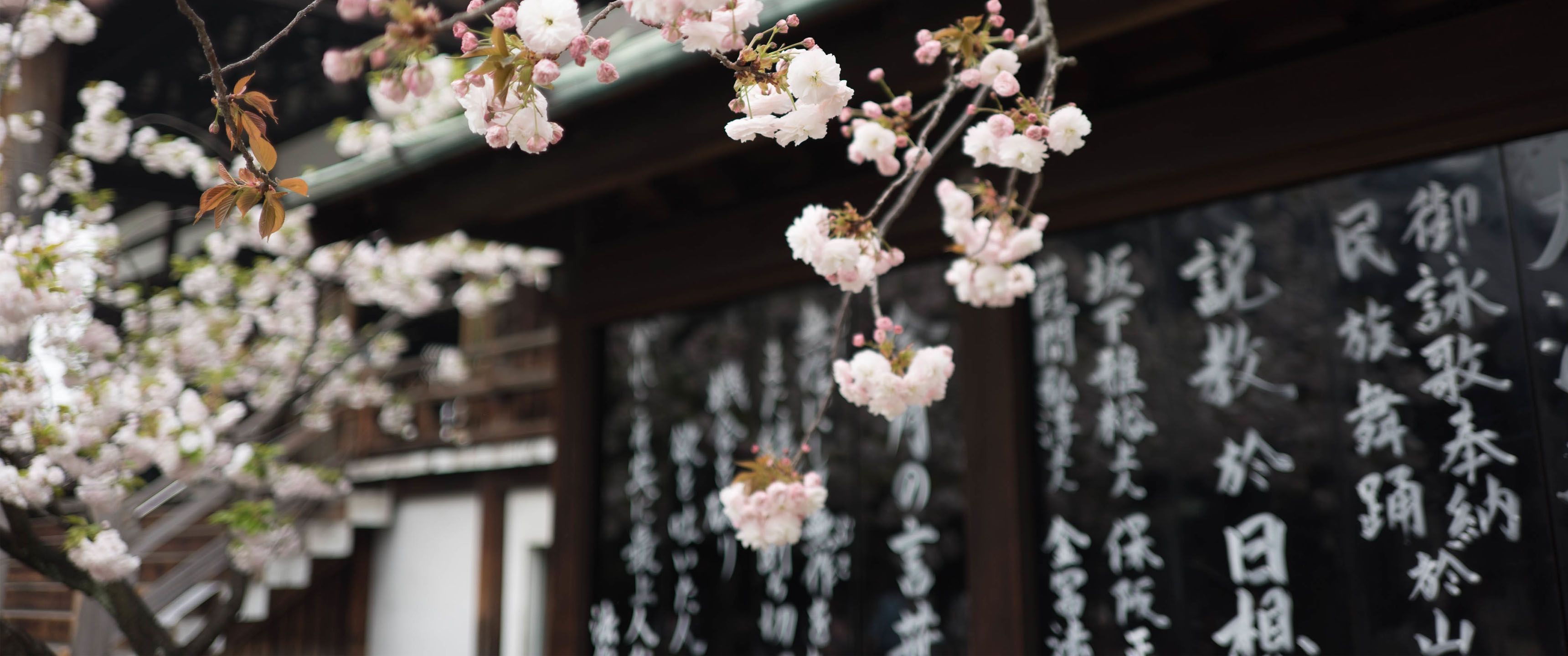 Osaka 21:9 Wallpaper. Ultrawide Monitor 21:9 Wallpaper