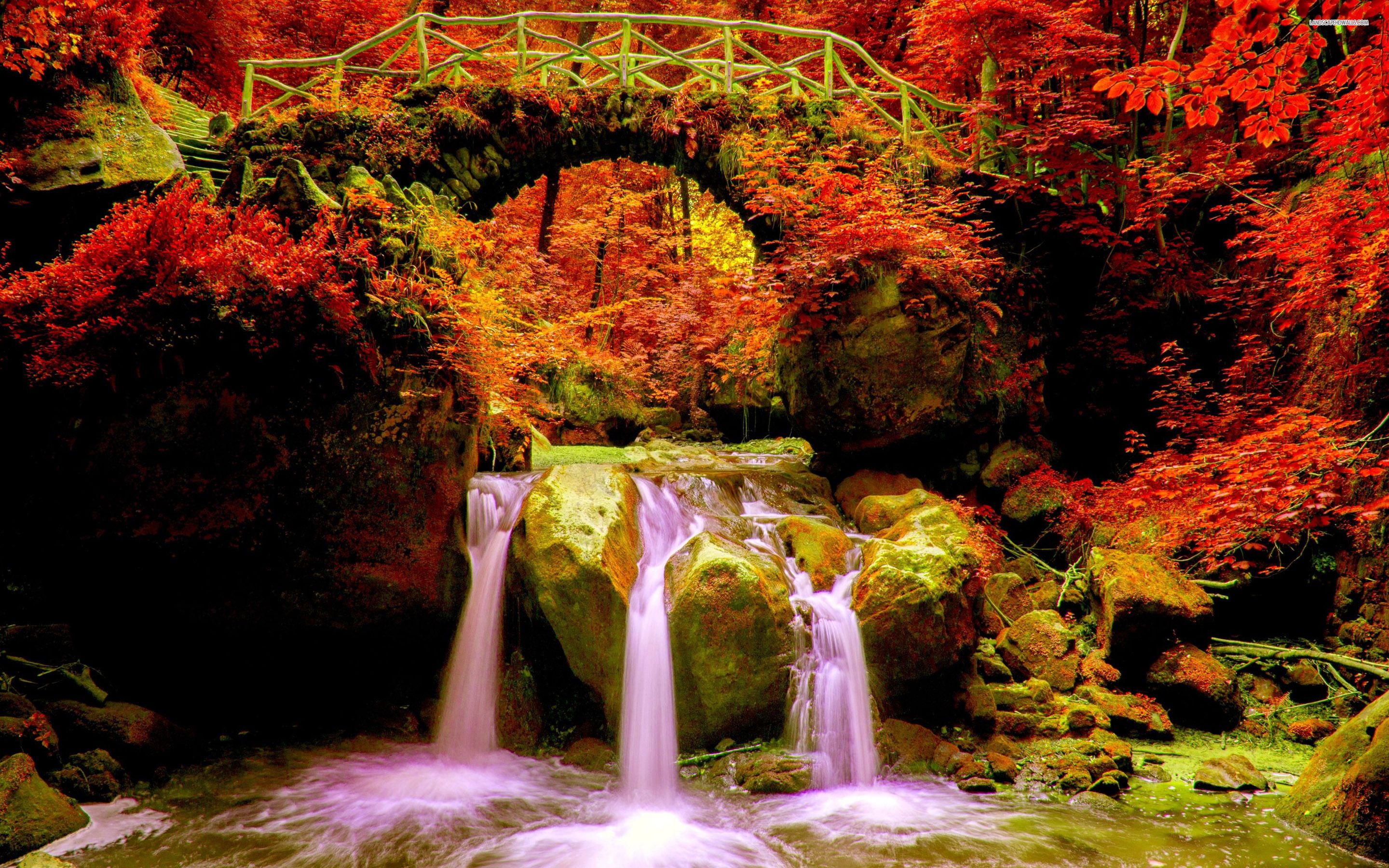 Beautiful, Nature, Autumn 4k Wallpaper, Background, Wallpaper & Background Download