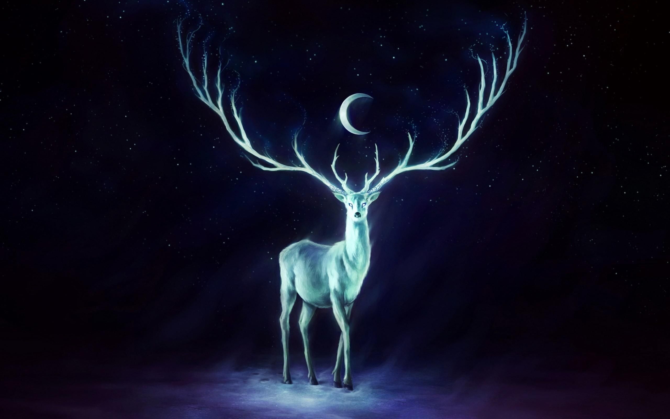 Deer: Moonlight Shone Light Deer Dark Reindeer Glow Cute Sweet
