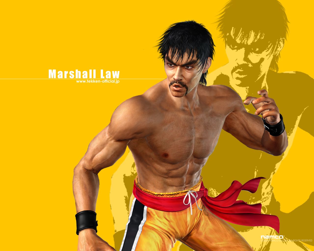 Martial Law Wallpaper. Martial Arts Wallpaper, Martial Arts Background and Martial Arts Logo Background