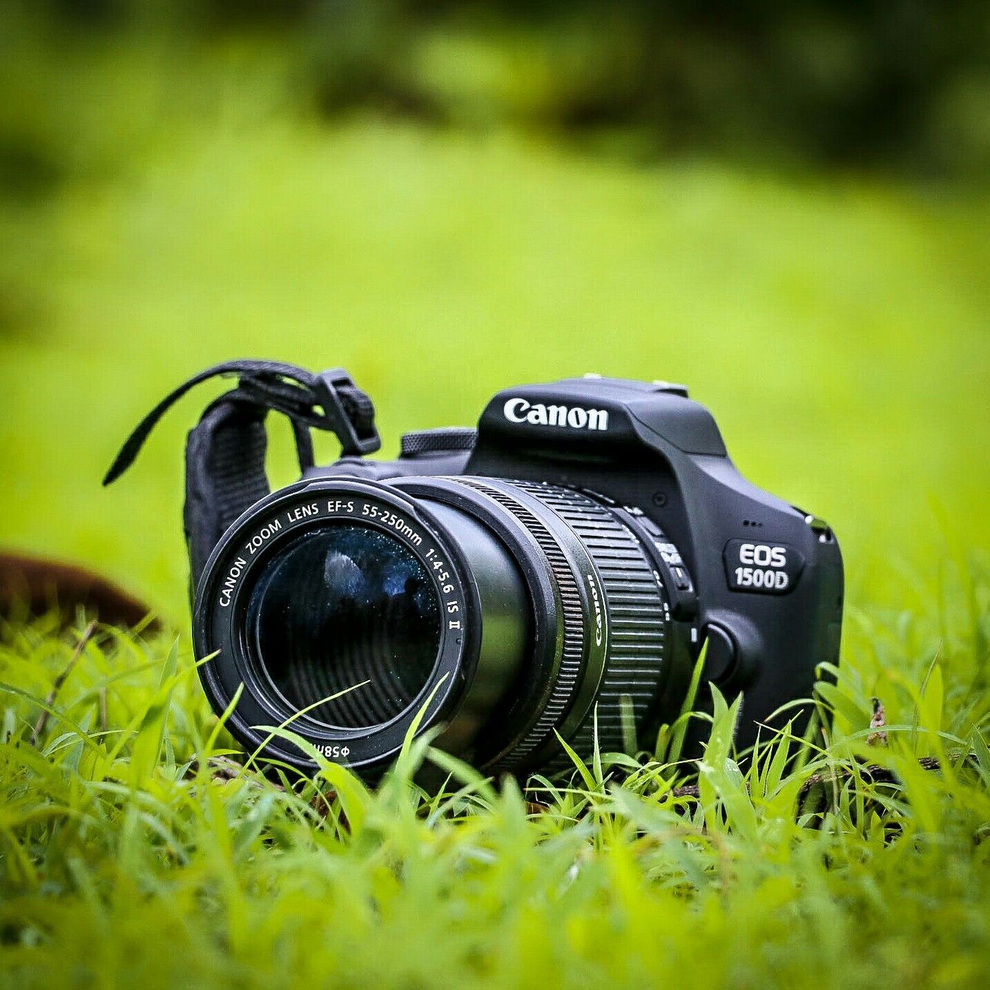Canon camera 1500D. Studio background image, Digital camera photography, Photohop background free